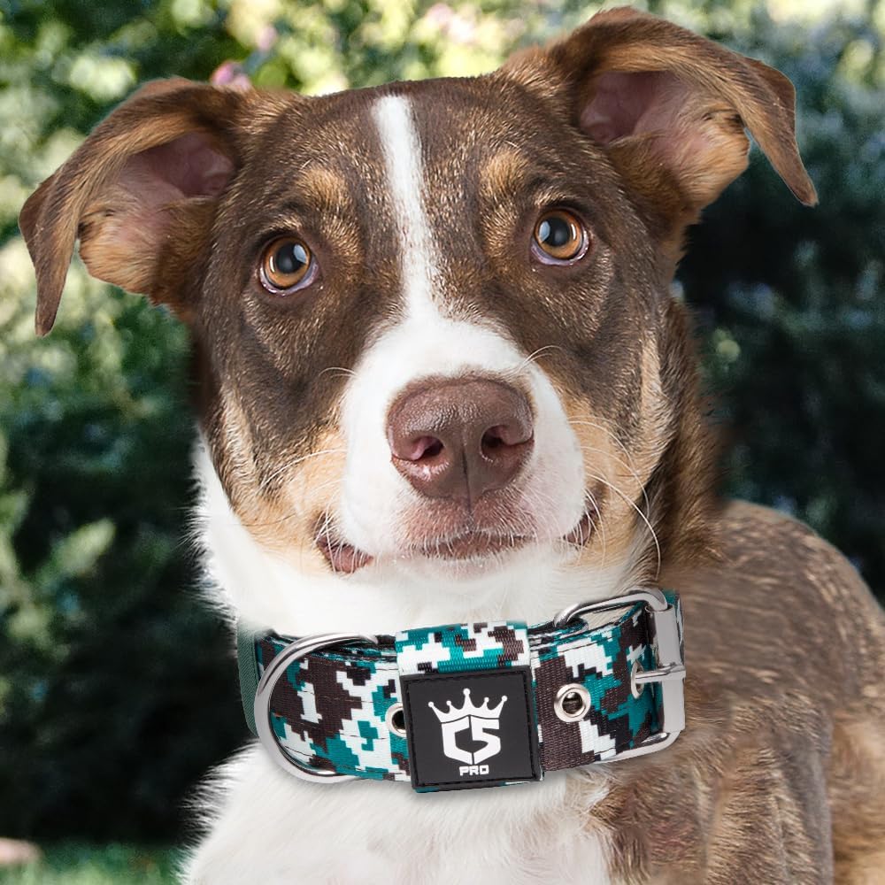 TSPRO Tactical Dog Collar 1.5 Inch Wide Thick Dog Collars with Heavy Duty Metal Buckle, Durable, Strong, Adjustable for Medium to Large Dogs (Camo Cyan M)