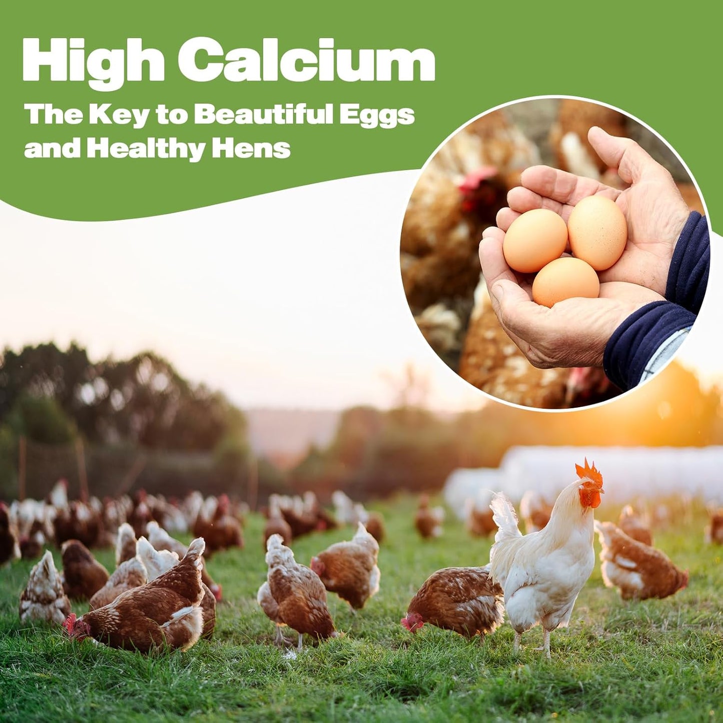 10LB Dried Black Soldier Fly Larvae, 86X Calcium Than Dried Mealworms, High Protein Non-GMO Organic Chicken Feed