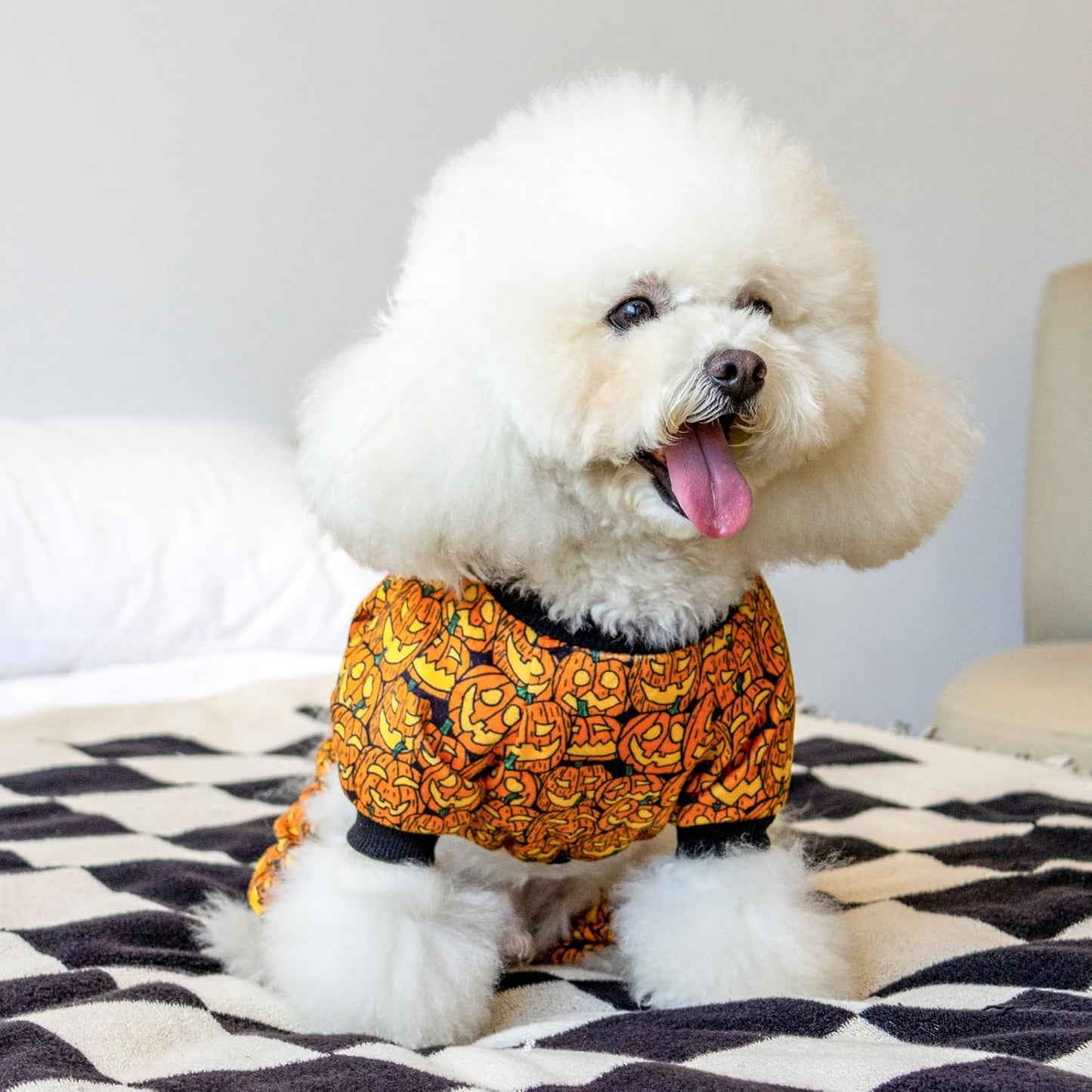 CuteBone Dog Halloween Pajamas Puppy Onesies Small Dogs Soft Pjs Coat Cat Apparel Comfy Pet Christmas Clothes Outfit Doggie Bodysuit P301M