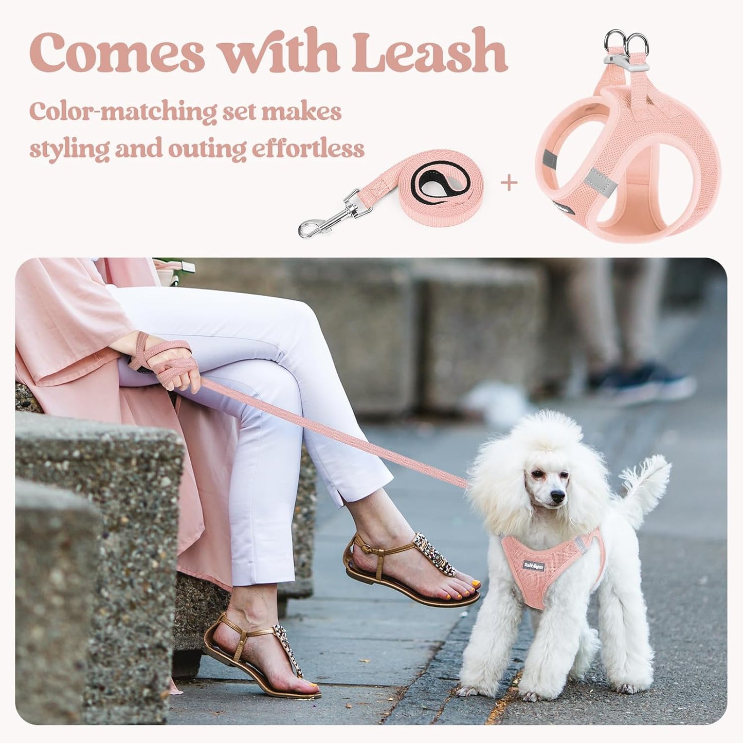 rabbitgoo Dog Harness Small Sized and Leash Set, Step in Soft Light Puppy Vest, Breathable Mesh Pet Harness, Reflective for Outdoor Safe Walking, Pink XXXS