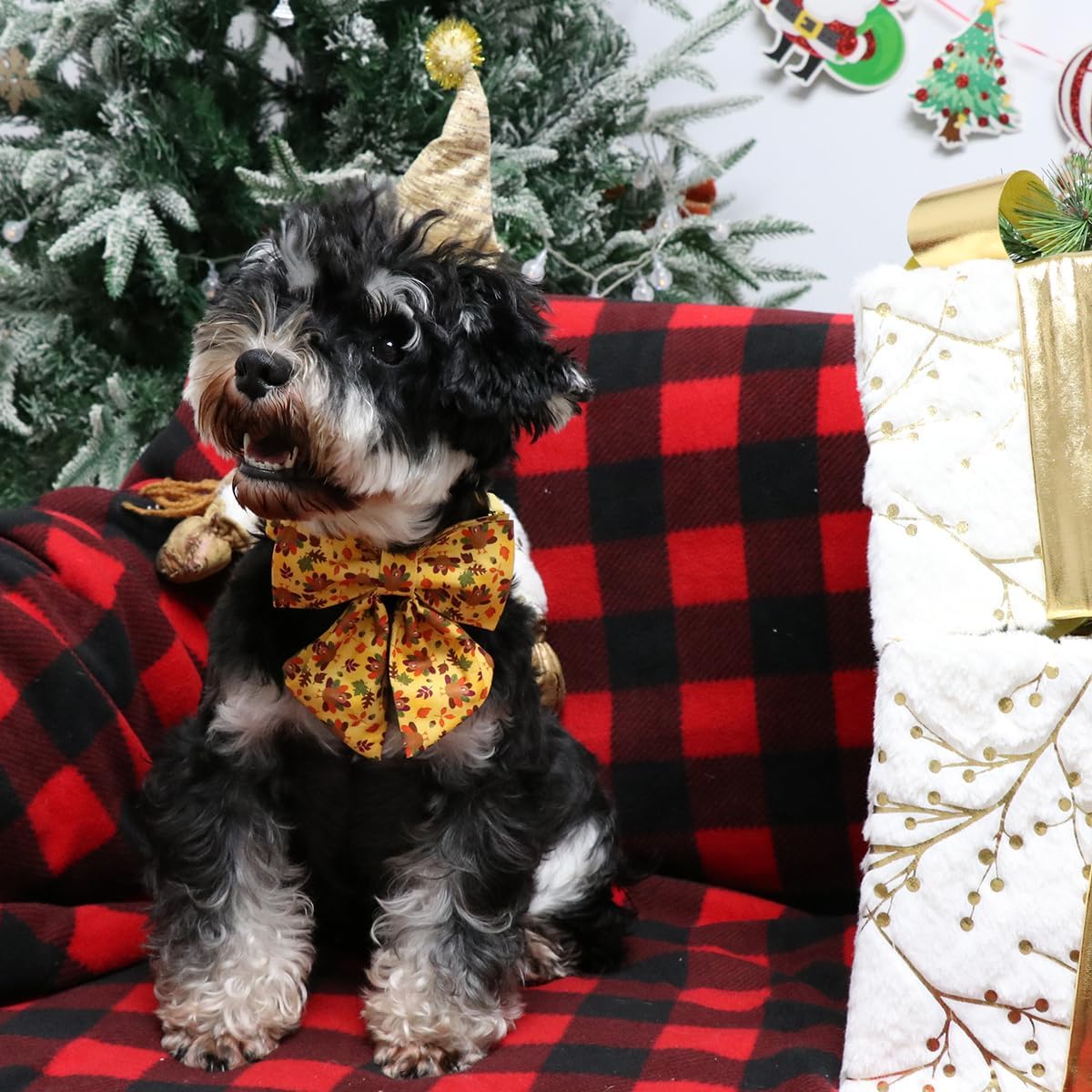 Lionet Paws Thanksgiving Day Dog Collar with Bowtie, Dogs Sailor Bow Collar with Metal Buckle for Dogs and Cats, Adjustable Comfortable Dog Collars Girl, S, Neck 10-16 in