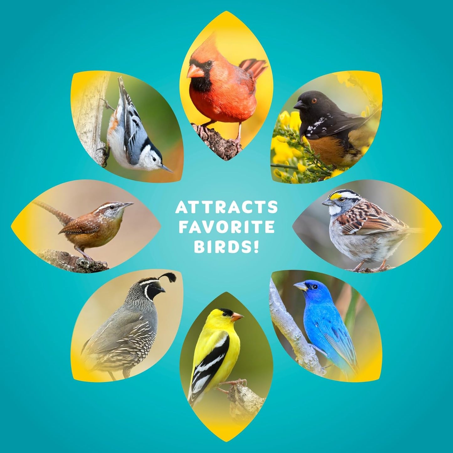 Audubon Park Waste Free Wild Bird Seed –12 lb. No Mess Blend with Sunflower Hearts & Peanut Pieces – Bird Food for Outside Feeders