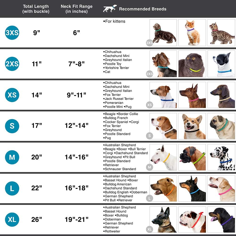 CollarDirect Rolled Leather Dog Collar, Soft Padded Round Puppy Collar, Handmade Genuine Leather Collar Dog Small Large Cat Collars 13 Colors (13-16 Inch, Light Blue Textured)