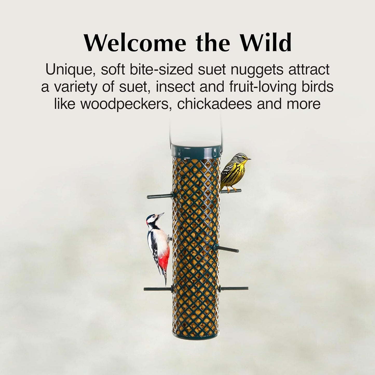 C&S Sunflower Suet Nuggets, Suet Nuggets for Wild Birds, 8 Lbs