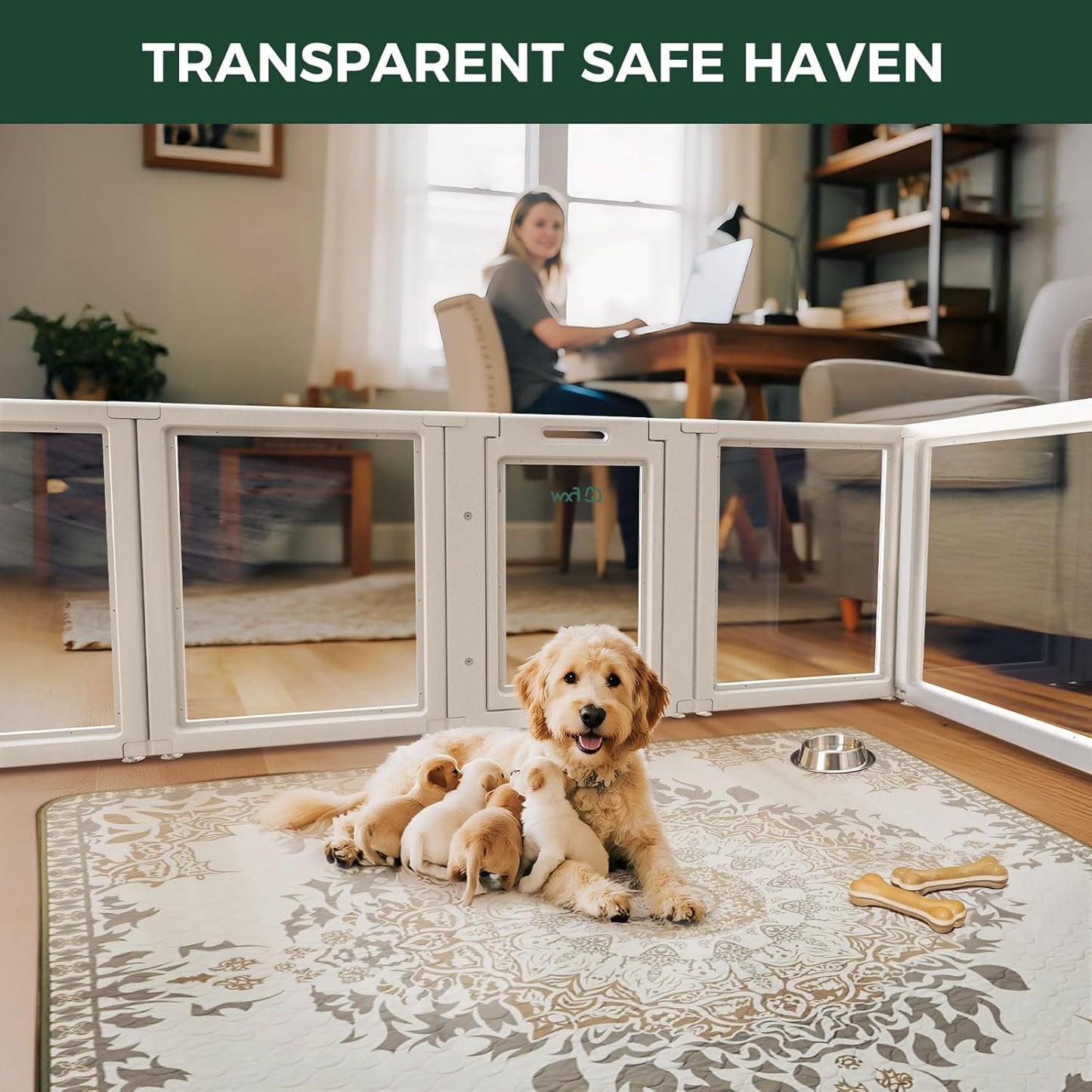 FXW AuraSpace Acrylic Indoor Unleashed Dog Playpen for Puppies and Small Dogs, 24 Inch, 16 Panels, White