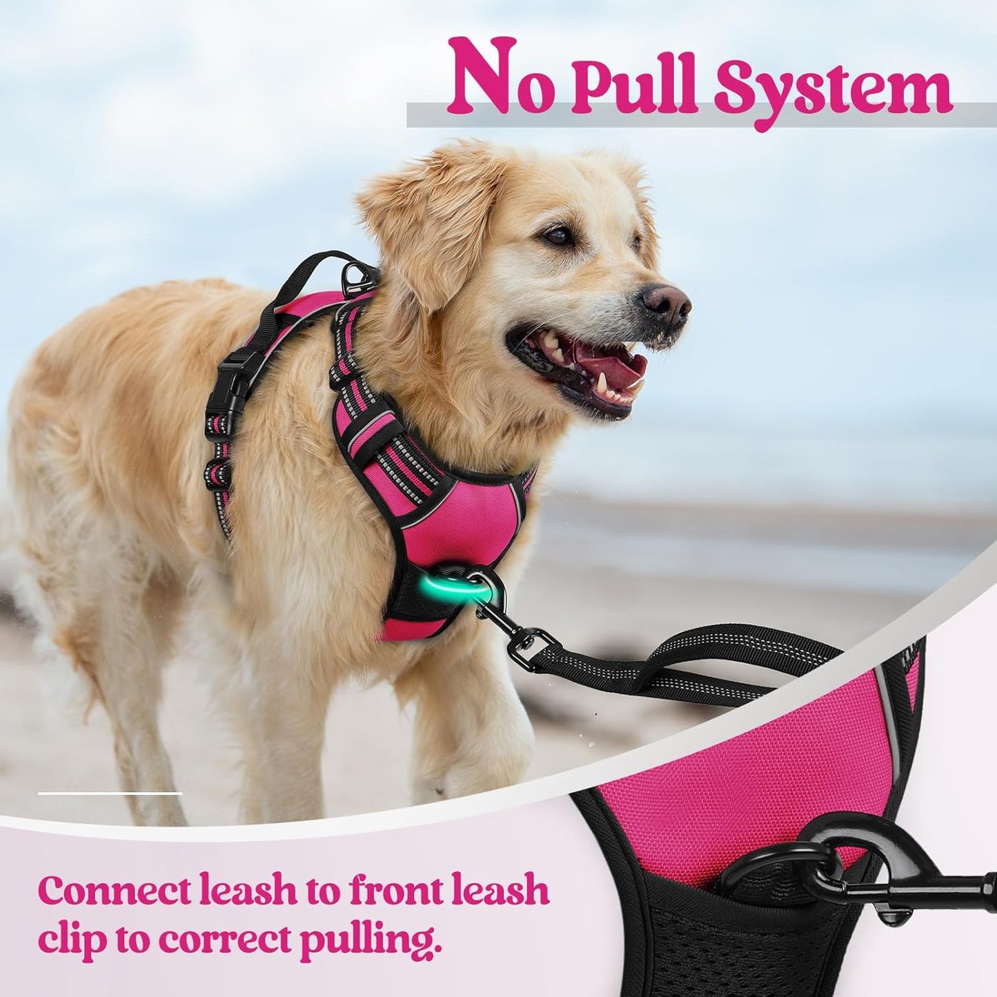 rabbitgoo Dog Harness No Pull with 2 Leash Clips, Adjustable Soft Padded, Reflective Oxford No Choke Pet Vest with Easy Control Handle for Medium Sized Dogs, Hot Pink, M