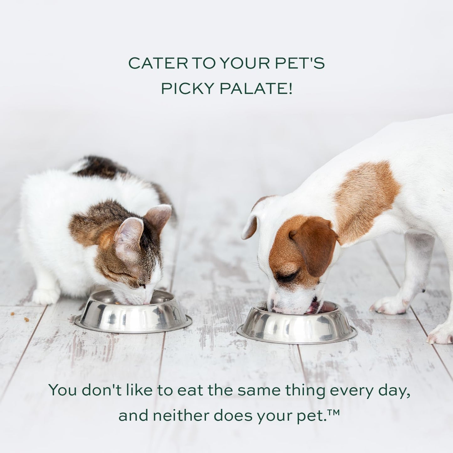 pawTree Food Toppers for Dogs & Cats - Boost Your Pet's Mealtime with These Delicious Pet Food Seasonings - Dry Mixers and Seasonings - Flavor Enhancer for Picky Eaters & Appetite Stimulation