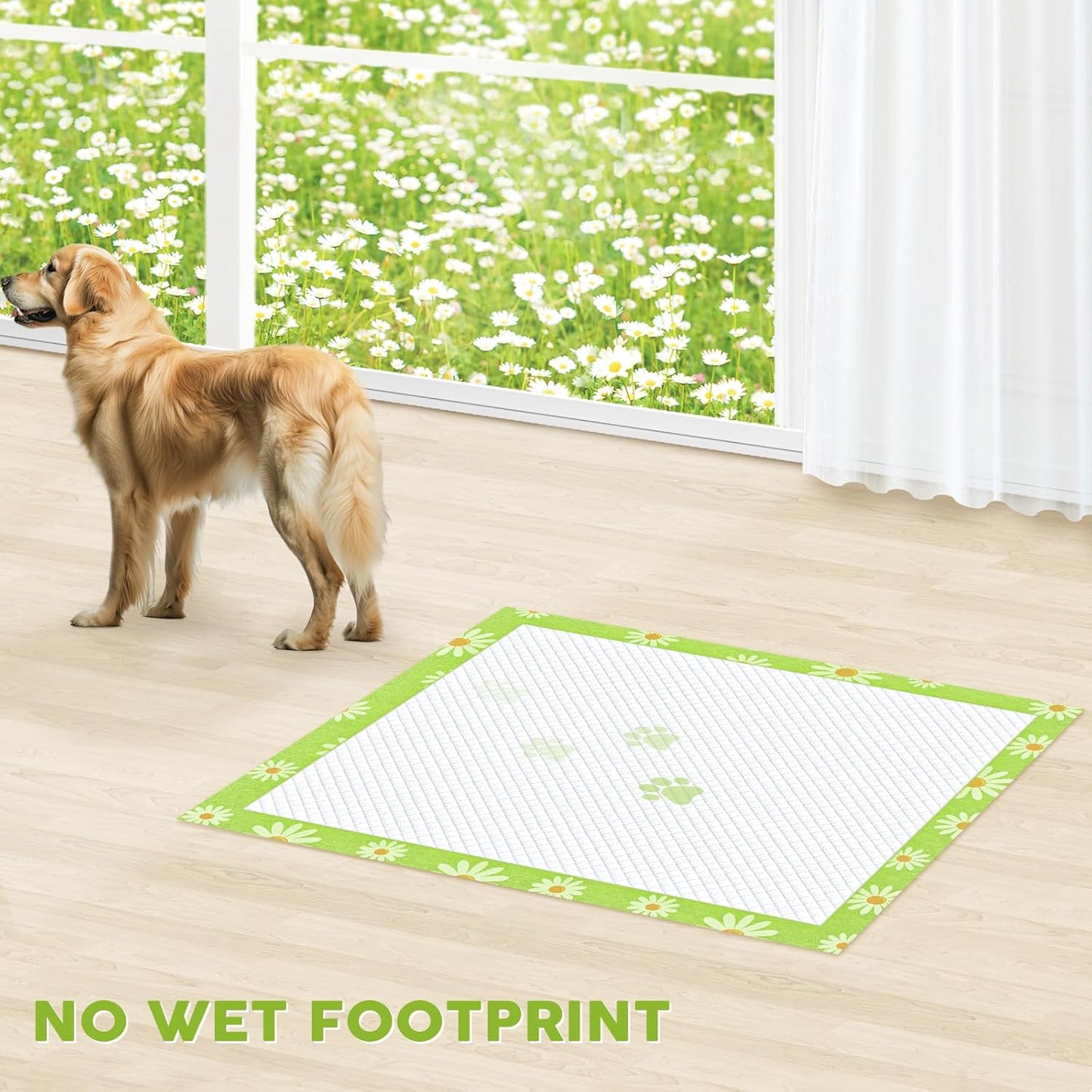 CROCI Dog Pads Extra Large 36x36in Daisy Pattern, Puppy Pads with Adhesive Tabs Super Absorbent Up to 11 Cups, Disposable (30 Counts)