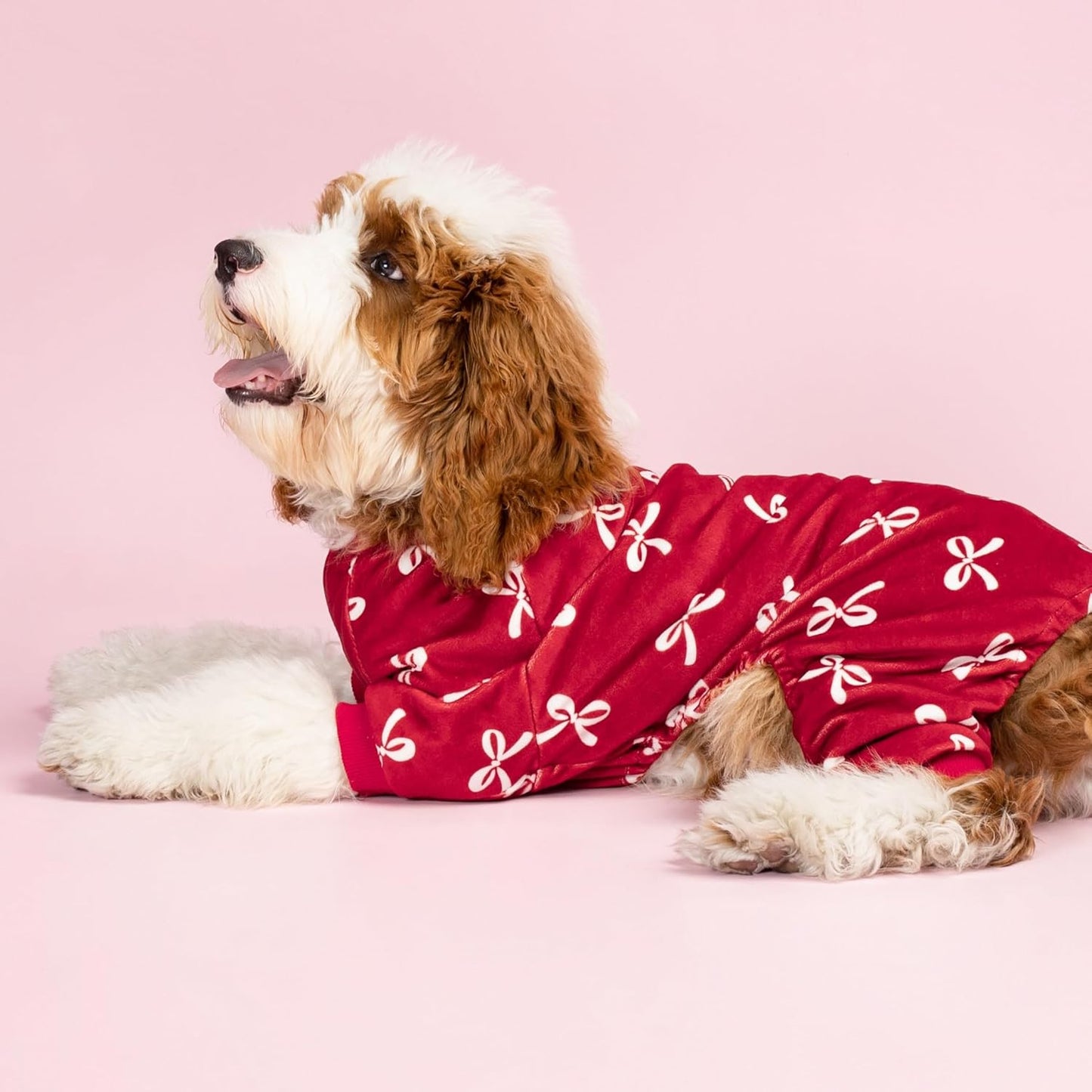 Fitwarm Bowknot Dog Pajamas, Warm Clothes for Small Dogs Girl, Fleece Pet Onesie with Feet, Burgundy Red, White, Medium