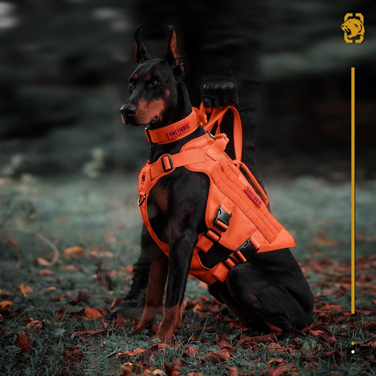 OneTigris Mesh Design Tactical No Pull Dog Harness for Large Dogs, Breathable Service Dog Vest Harness with Handle, Military Dogs Vest with Molle Panels for Walking Hiking (Orange, X-Large)