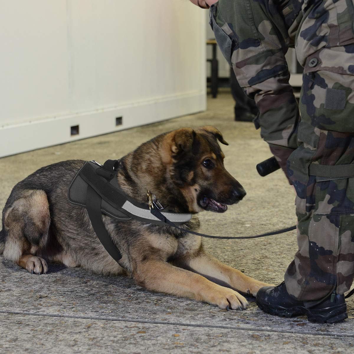 Bolux Dog Harness, No-Pull Reflective Dog Vest, Breathable Adjustable Pet Harness with Handle for Outdoor Walking - No More Pulling, Tugging or Choking (Black, M)