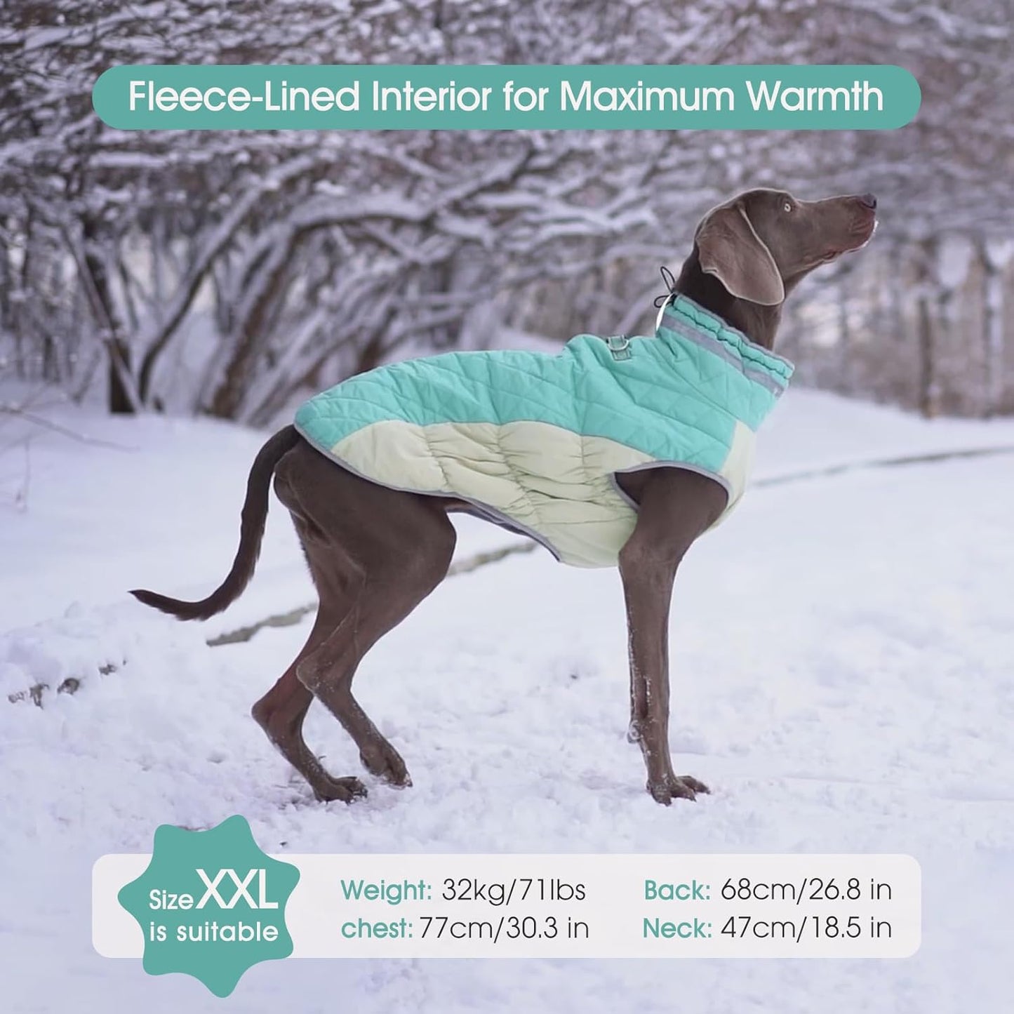 FUAMEY Dog Coat for Small Dogs,Waterproof Dog Winter Jacket with Harness Built in Puppy Cold Weather Coats Reflective Pet Vest with Zipper Warm Fleece Dogs Snowsuit Windproof Mint Green S