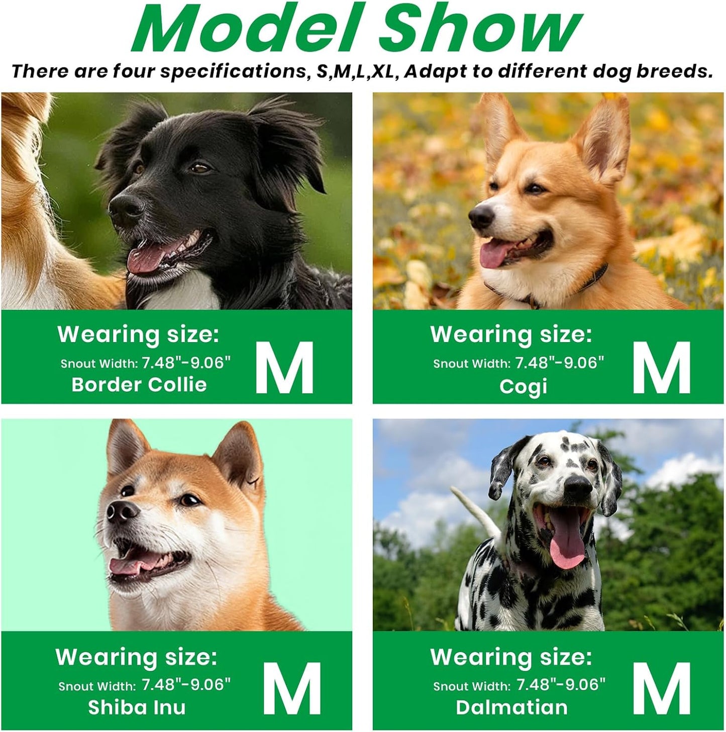 Dog Muzzle, Basket Muzzle for Small Medium Large Dogs, Anti-Biting and Chewing, Lightweight & Sturdy Cage Design, Allows Panting & Drinking, Ideal for Grooming & Training(Green Size M)