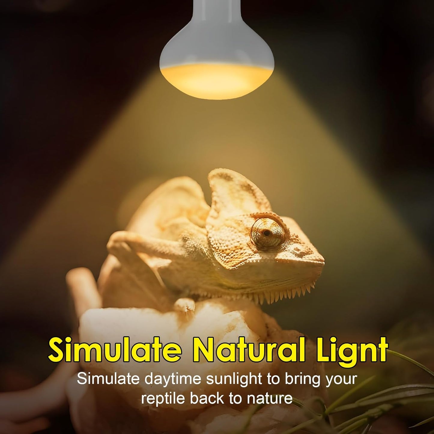 MIXJOY 2Pack Reptile Heat Lamp Bulbs 75W, 60% Intense Heat Bulb UVA Daylight Basking Spot Bulb for Reptiles, Turtle, Lizard, Tortoise, Bearded Dragon, Gecko, Chicken