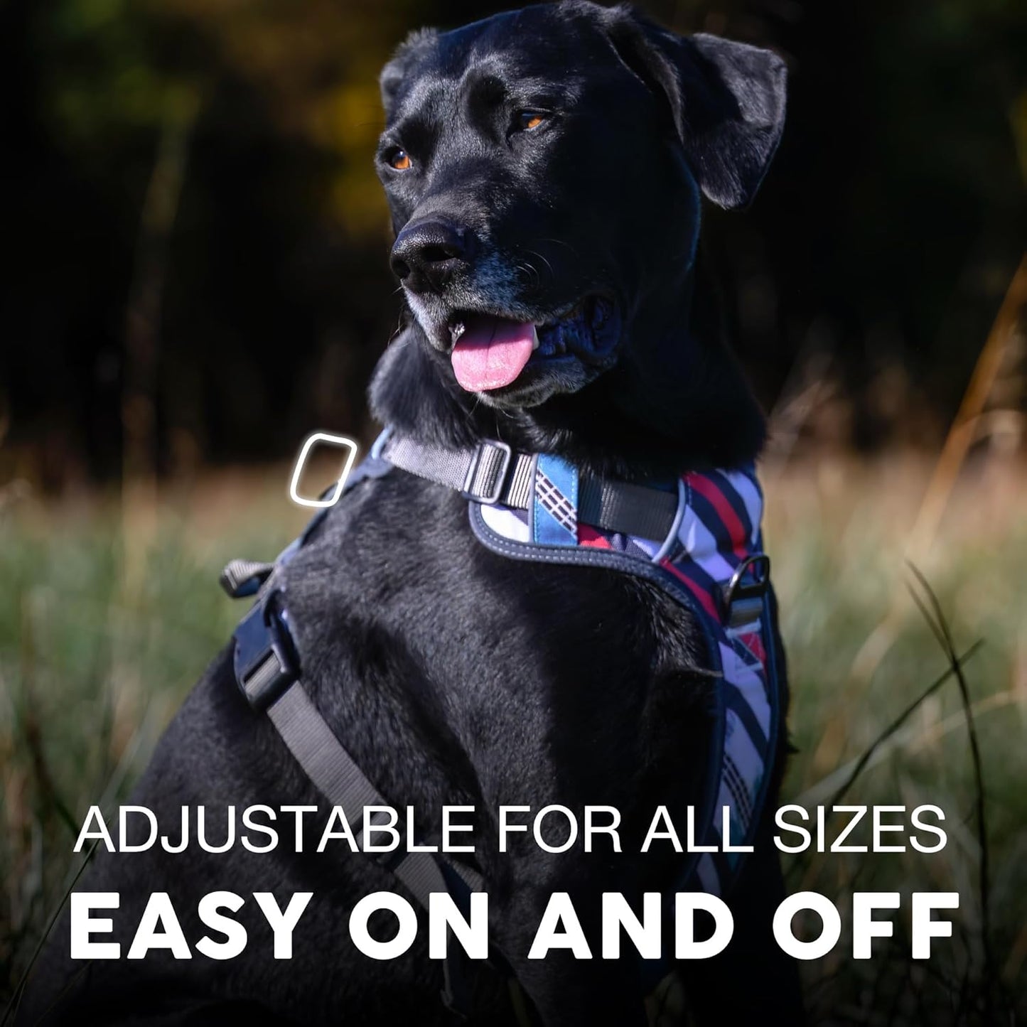 Embark Adventure Dog Harness, Reflective Trim No Pull Dog Harnesses for Small Sized Dogs - Military Grade Nylon, Front Clip with Gel Lined Handle.