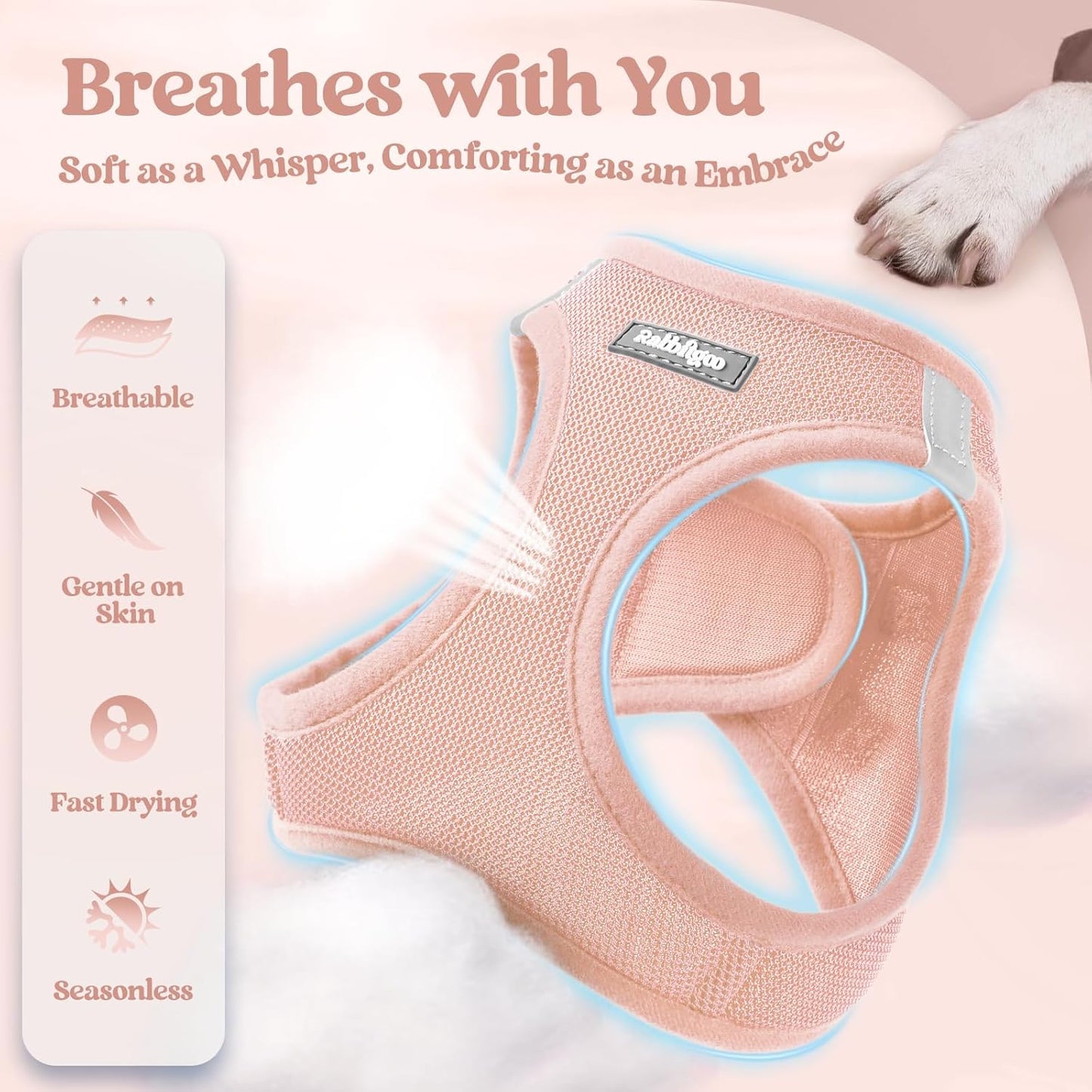 rabbitgoo Dog Harness Small Medium Sized and Leash Set, Step in Soft Light Puppy Vest, Breathable Mesh Pet Harness, Reflective for Safe Outdoor Walking, Pink L