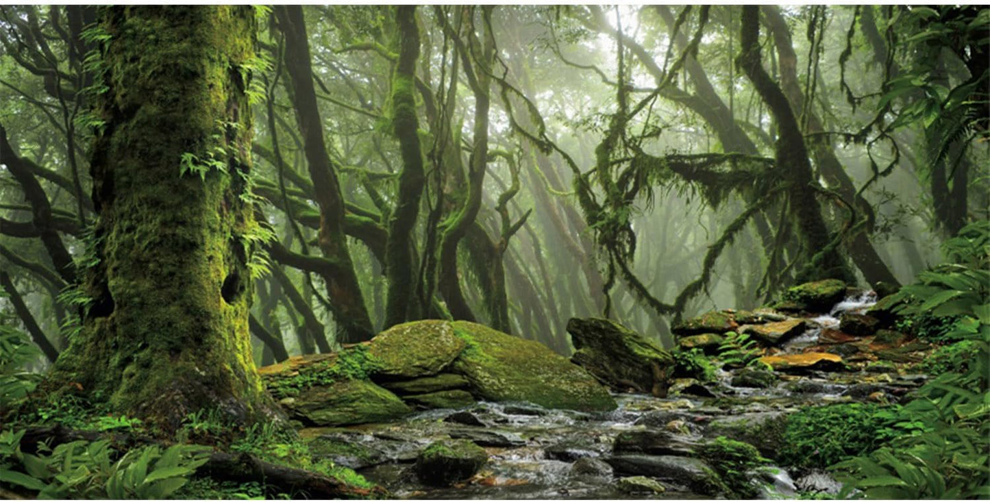 AWERT Foggy Forest Terrarium Background Stream Green Huge Tree Reptile Habitat Background Tropical Rainforest Aquarium Background 24x12 inches Durable Polyester Background
