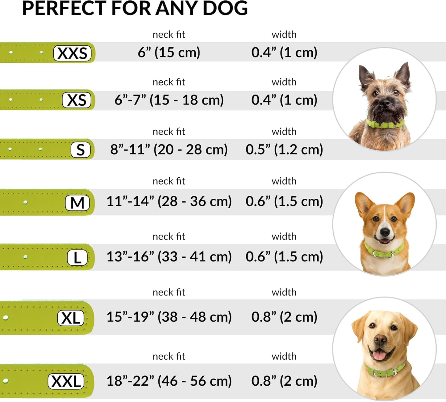 CollarDirect Rolled Leather Dog Collar, Soft Padded Round Puppy Collar, Handmade Genuine Leather Collar Dog Small Large Cat Collars 13 Colors (11-14 Inch, Lime Green Smooth)