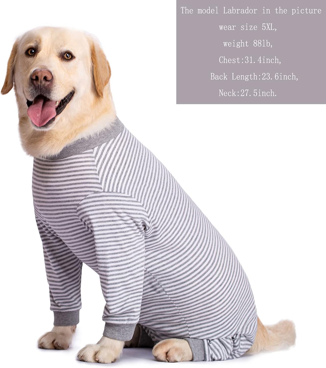 Yeapeeto Dog Onesie Surgery Recovery Suit for Large Medium Bodysuit Dogs Pajamas PJS Full Body for Shedding, Prevent Licking, Wound Protection, Cone Alternative (7X-Large (Pack of 1), Grey)