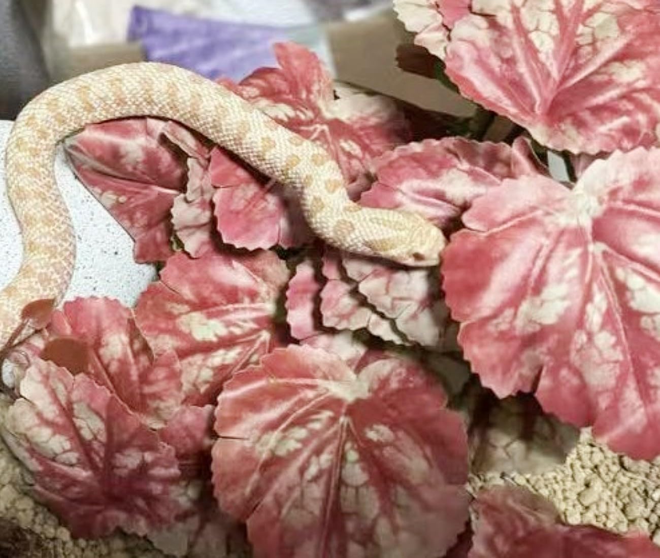 Reptile Plants for Terrarium Decor,Amphibian Habitat Decor,Artificial Plants for Gecko Chameleon Snake Tortoise Tank Accessories with Base (Pink heuchera micrantha)