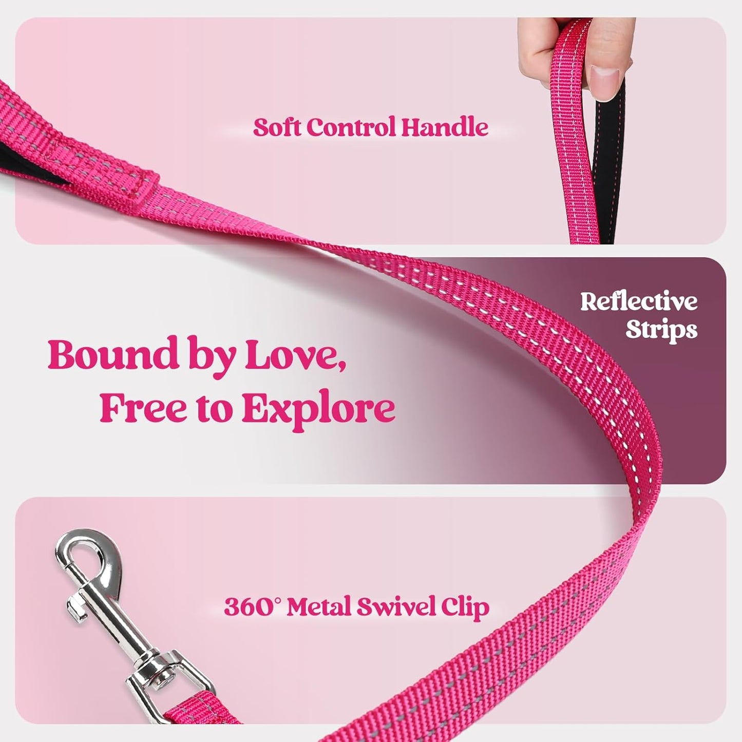 rabbitgoo Dog Harness Small Sized and Leash Set, Step in Soft Light Puppy Vest, Breathable Mesh Pet Harness, Reflective for Safe Easy Walking, Rosa Red XXXS