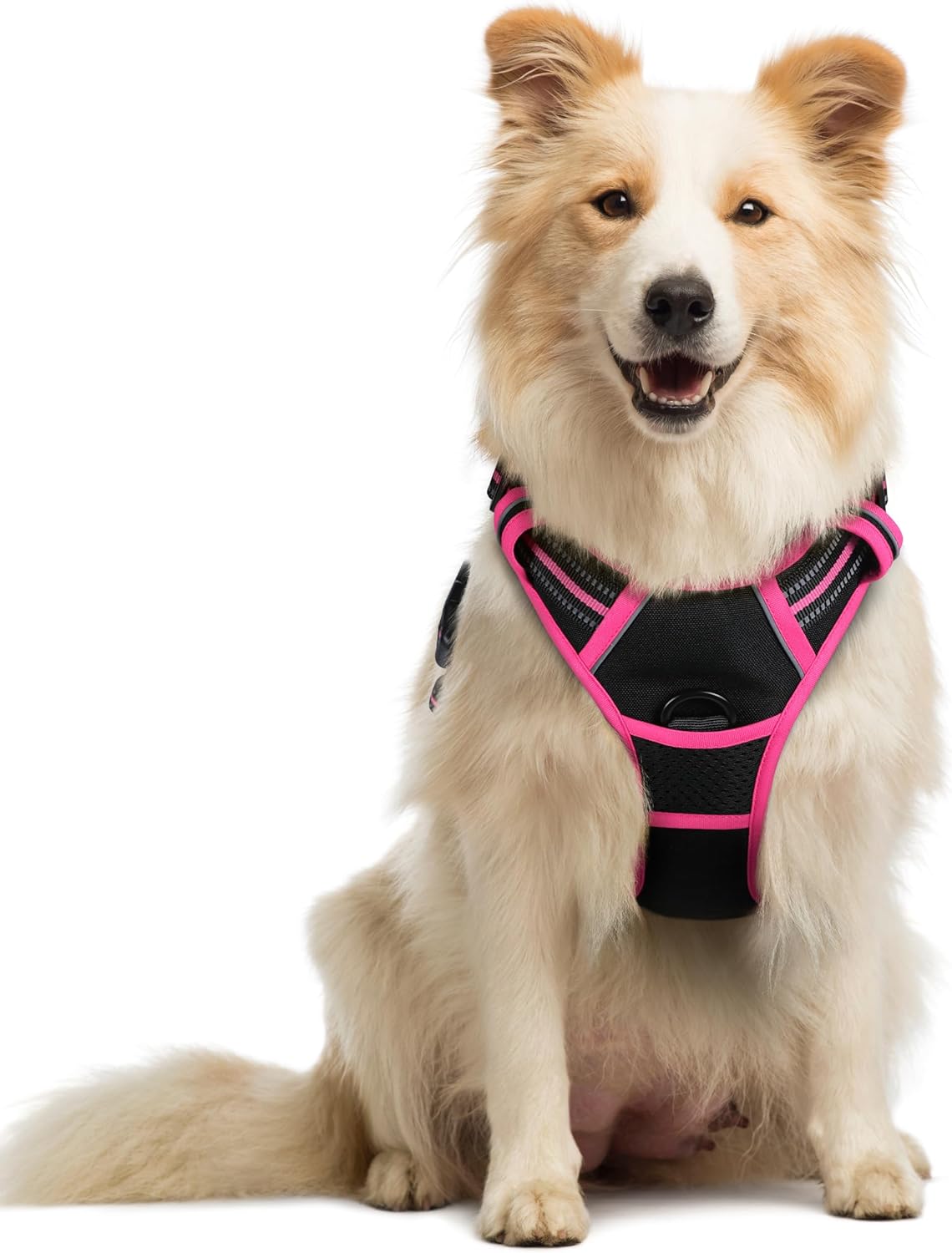 rabbitgoo Dog Harness No Pull with 2 Leash Clips, Adjustable Soft Padded, Reflective Oxford No Choke Pet Vest with Easy Control Handle for Large Dogs, Black & Hot Pink, M