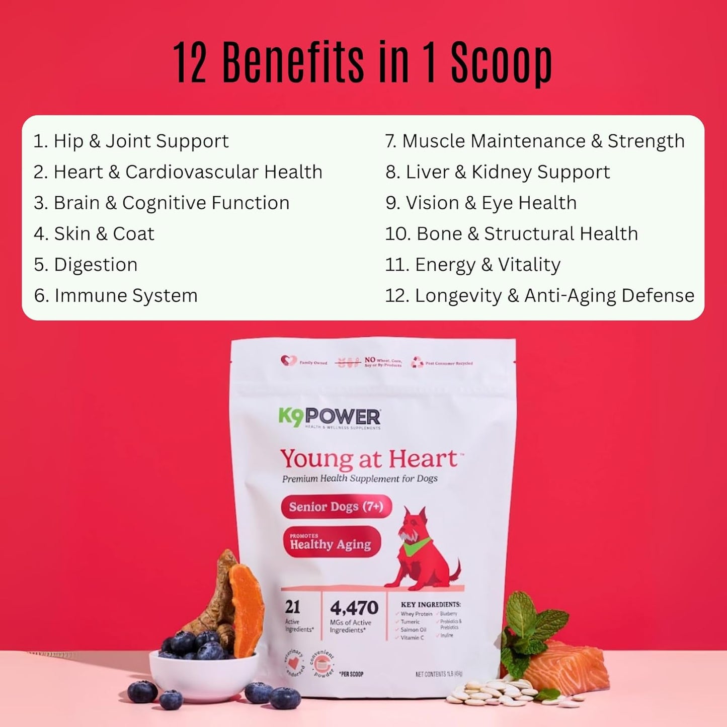 K9 Power Young at Heart Senior Dog Multivitamin 1 lb – Advanced Supplement for Seniors – Supports Brain, Heart, Vision, Joint Health, and Mobility