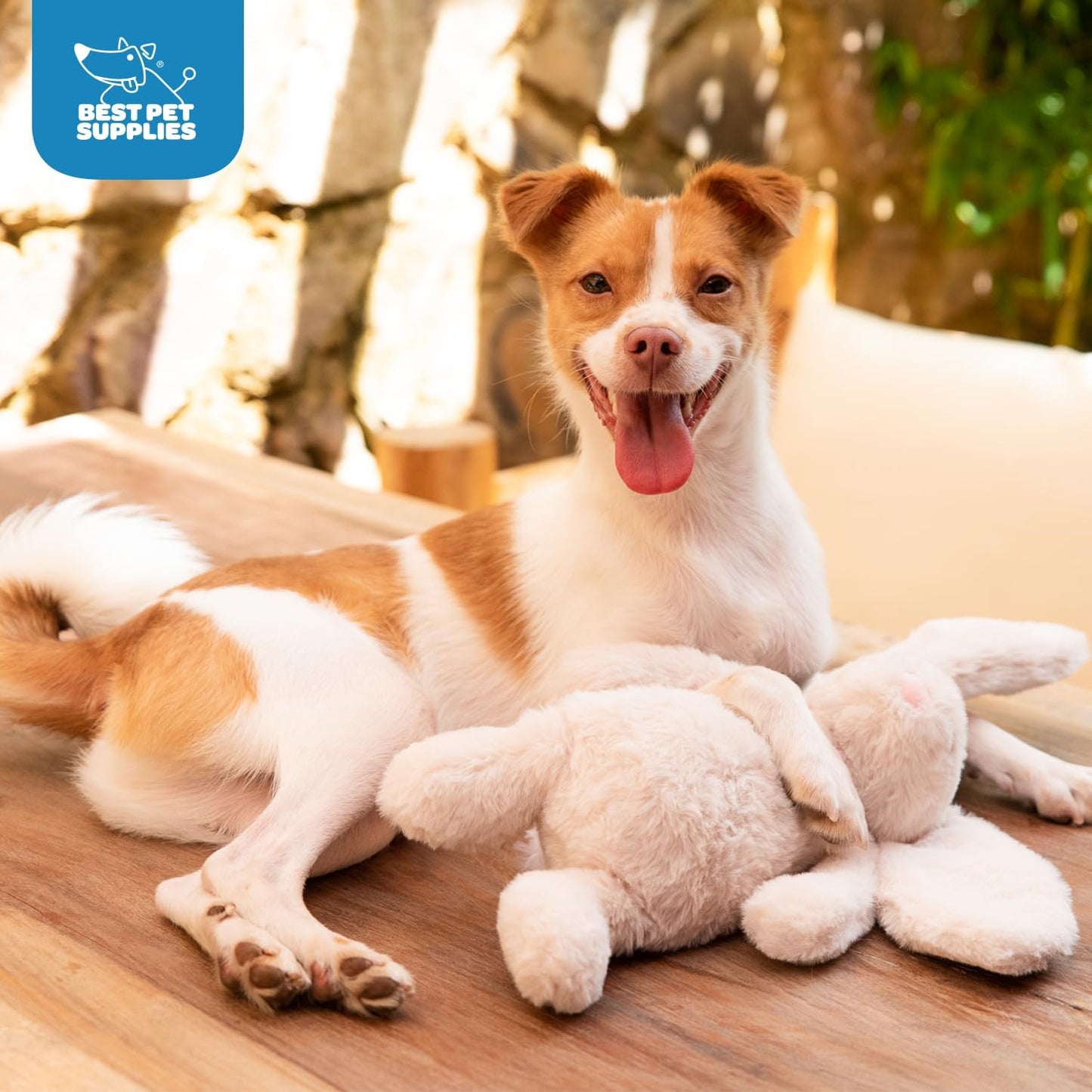 Best Pet Supplies Interactive Squeaky Dog Chew Toy, Ideal Dog Toys for Chewers, Small, Medium & Large Dogs, and Fetch Lovers - Bunny (Beige), Large