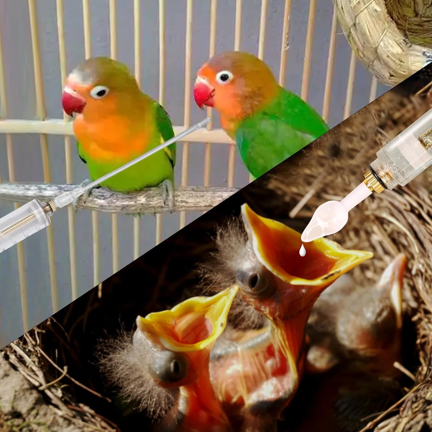 8 Pcs Bird Feeding Syringe Set Feeding Tubes for Baby Birds Parrot Hand Feeding Syringe Pet Syringe Feeding Tube Stainless Steel Metal Feeding Spoon Small Animals (20ml-Set of Eight)