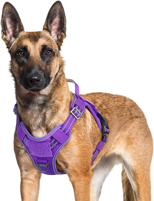 rabbitgoo Dog Harness for Large Dogs No Pull, Tactical Service Pet Vest with Molle and Control Handle, Adjustable and Reflective Military Harness for Easy Walking and Training, Purple, XL