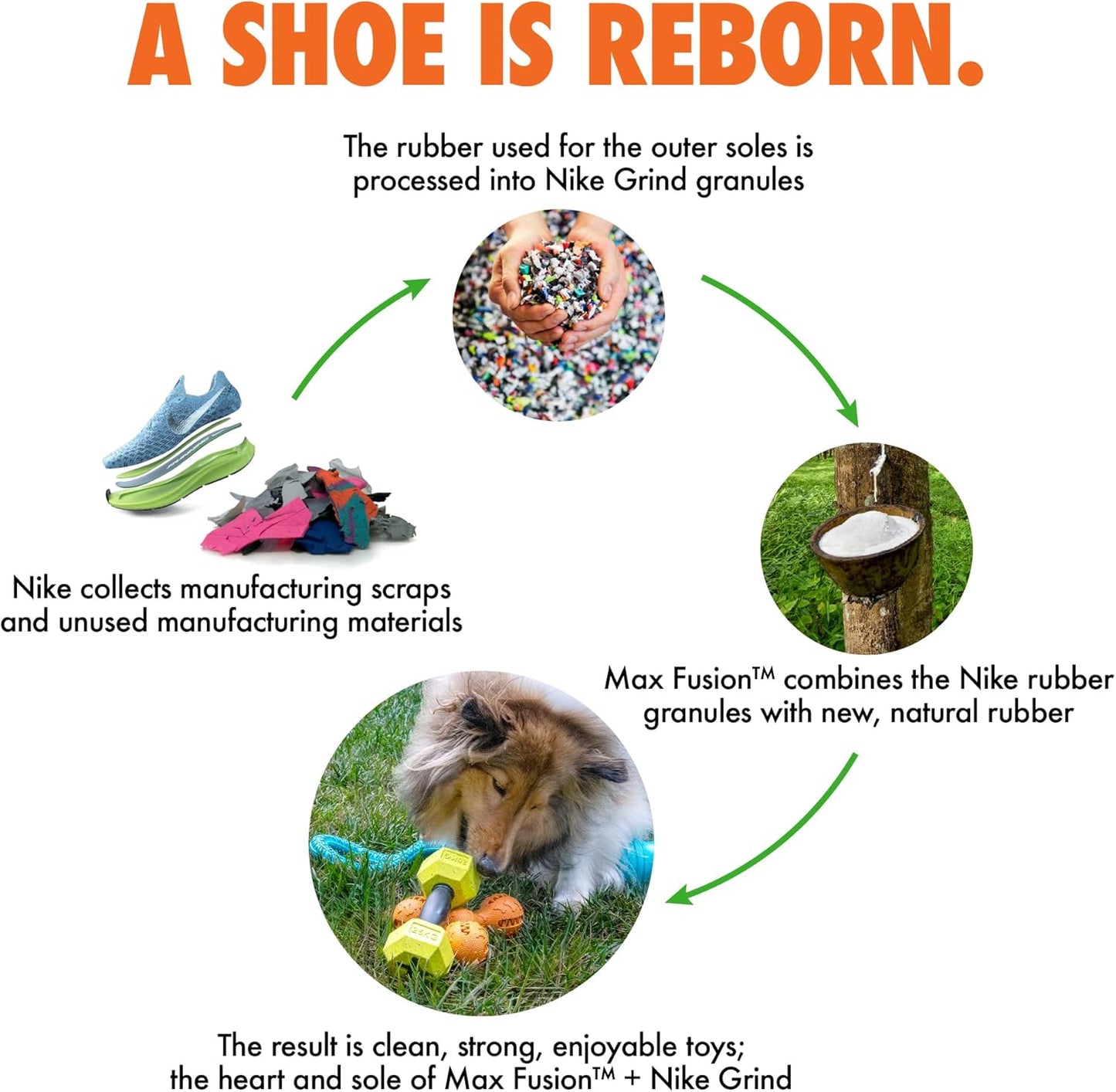 Max Fusion with Nike Grind, Arlee Meteor Dog Toy, Chew Toy for Play, Fetch, Tug, S