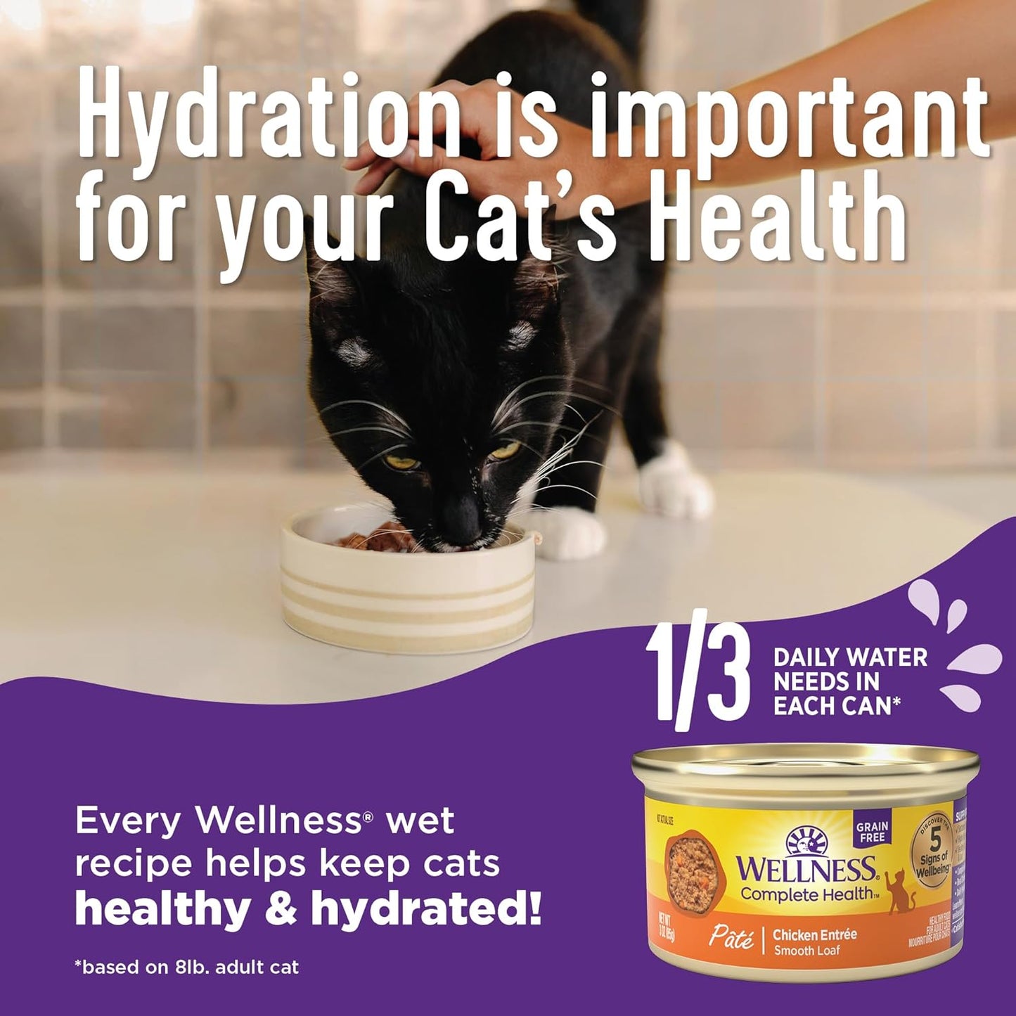 Wellness Complete Health Minced Adult Wet Cat Food, Natural, Protein-Rich, Grain Free, 3 Ounce , 24 Pack, (Chicken Entrée)