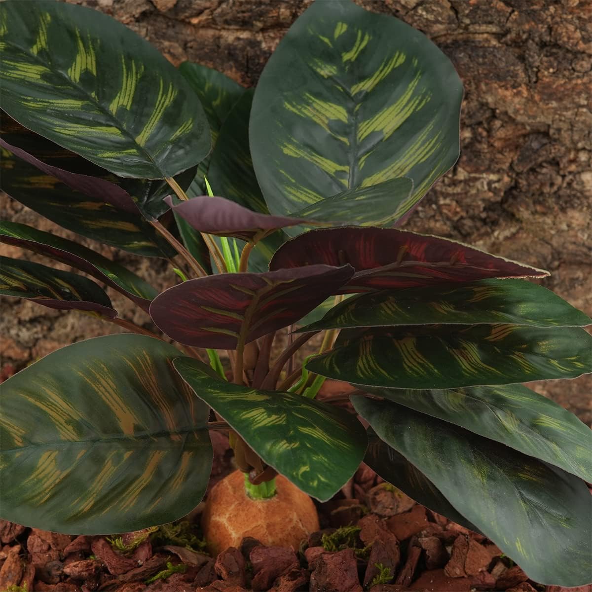 Reptile Terrarium Decor Plants, Bearded Dragon Tank Accessories fit Crested Gecko Leopard Lizard Chameleon Ball Python Snake Frog - Purple Fake Prayer Peacock Plants