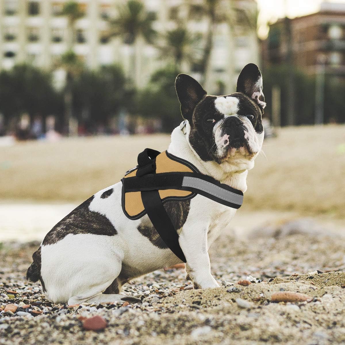 Bolux Dog Harness, No-Pull Reflective Dog Vest, Breathable Adjustable Pet Harness with Handle for Outdoor Walking - No More Pulling, Tugging or Choking (Army Yellow, L)