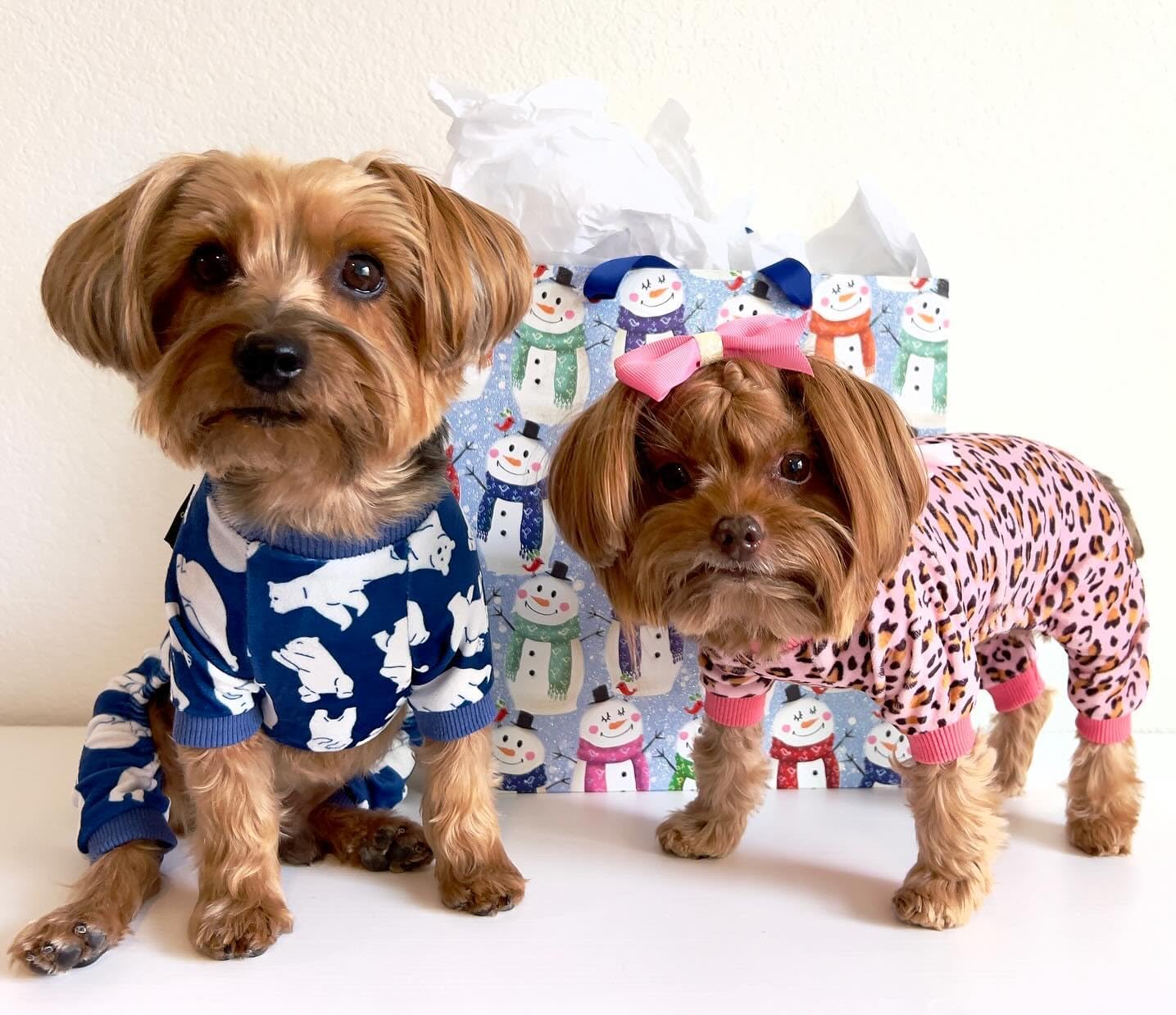 Fitwarm Leopard Dog Pajamas, Fleece Dog Clothes for Small Dogs Girl with Legs, Pet Onesie, Cat Outfit, Pink, Large