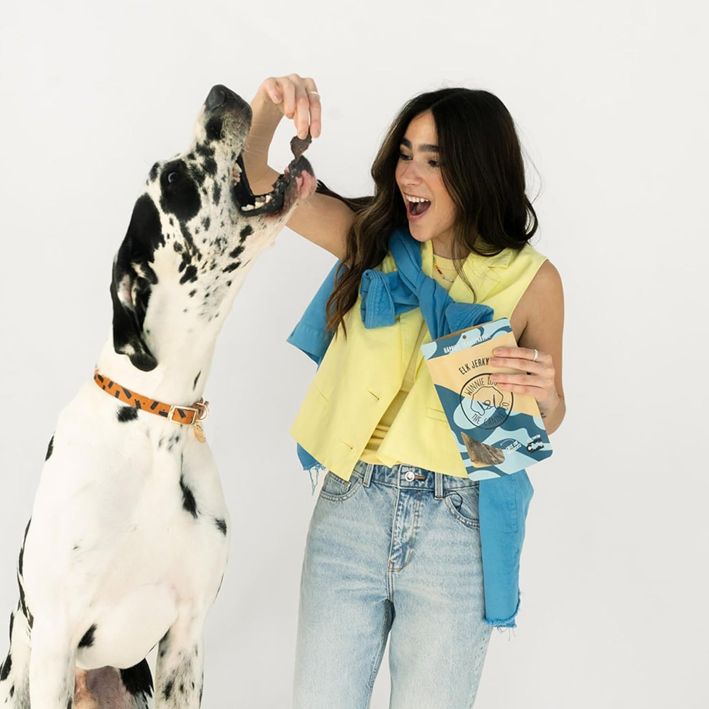 Winnie Lou Elk Jerky Dog Treats – Limited Ingredient, Human Grade, Training Treats for Small, Medium & Large Dogs, Made in USA (2 Pack)