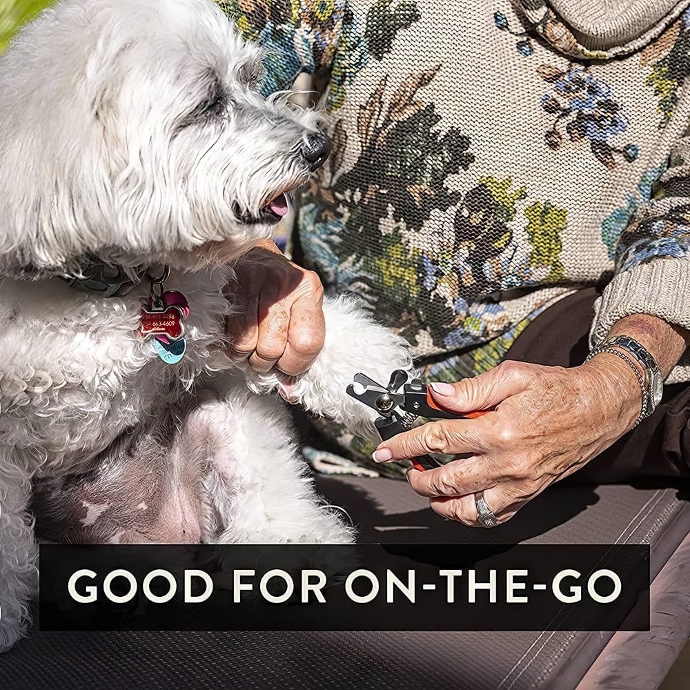 Pet Care Pedicure Kit for Dogs, Cats, Birds and Reptiles - Nail Clippers, File and Scissors Style Clippers Plus Case (2 Miller's Forge Nail Clippers, Small Scissors Style Clipper and One Nail File)