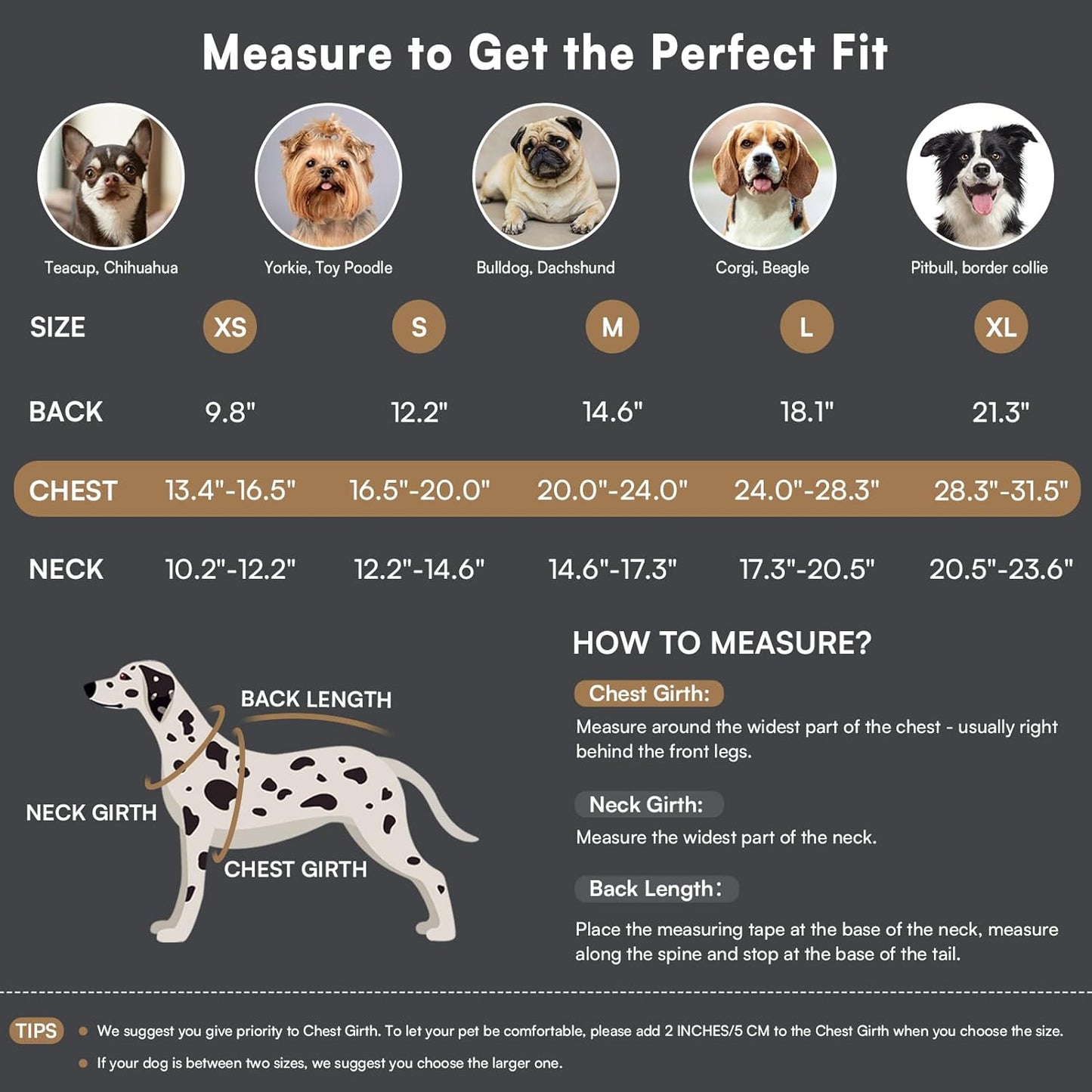 Queenmore Dog Winter Coat Warm Dog Jacket for Cold Weather, Quilting Puffer Plaid Coats for Small/Medium Dogs Waterproof,Girl/Boy Pet Christmas Coat,Pet Snowsuit with Leash Hole/Fleece Padding, XL