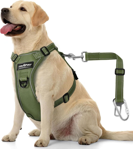 Dog Seat Belt Harness for Car, Dog Car Harness Adjustable Mesh Breathable & Dogs Seatbelt Safety Tether with Elastic Bungee for Small Medium Large Pets(Army Green, L)