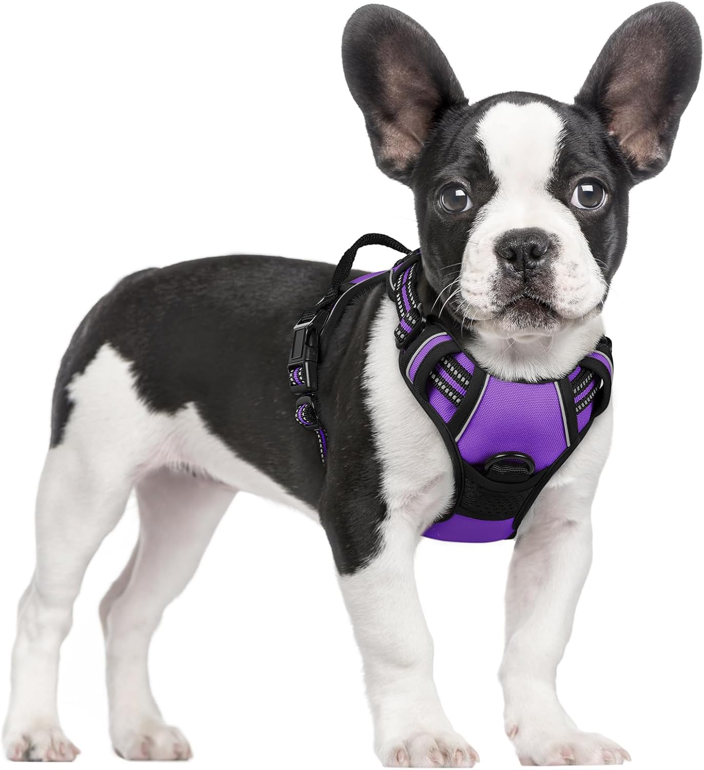 rabbitgoo Dog Harness No Pull with 2 Leash Clips, Adjustable Soft Padded, Reflective Oxford No Choke Pet Vest with Easy Control Handle for Small Dogs, Purple, S