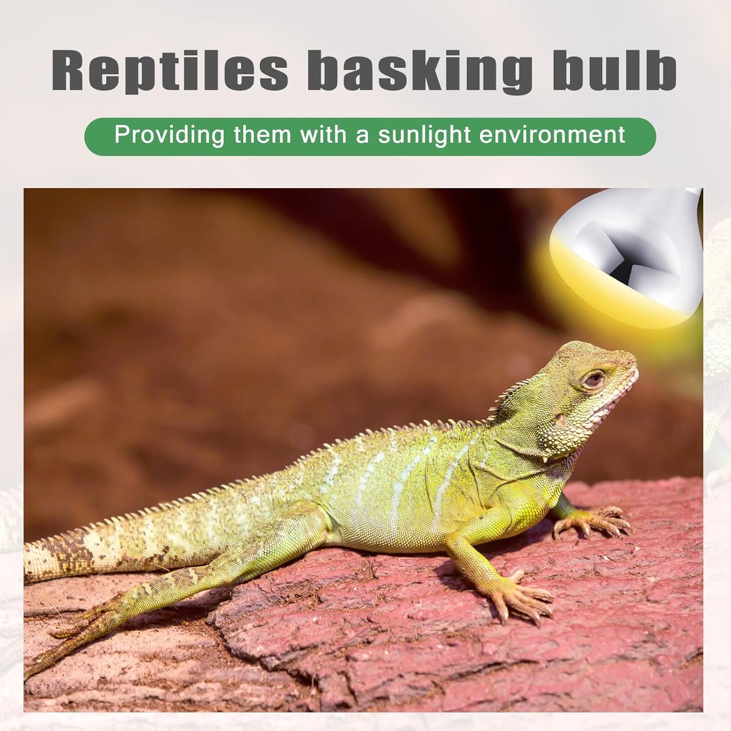 VIHOSE 3 Pack 250 Watt Heat Lamp 120v R40 Heat Lamp Bulbs Glass Incandescent Light Bulbs Incandescent Heating Lightbulbs for Reptiles Chicks Food Puppies Bathroom, Use E26 Base (Silver)