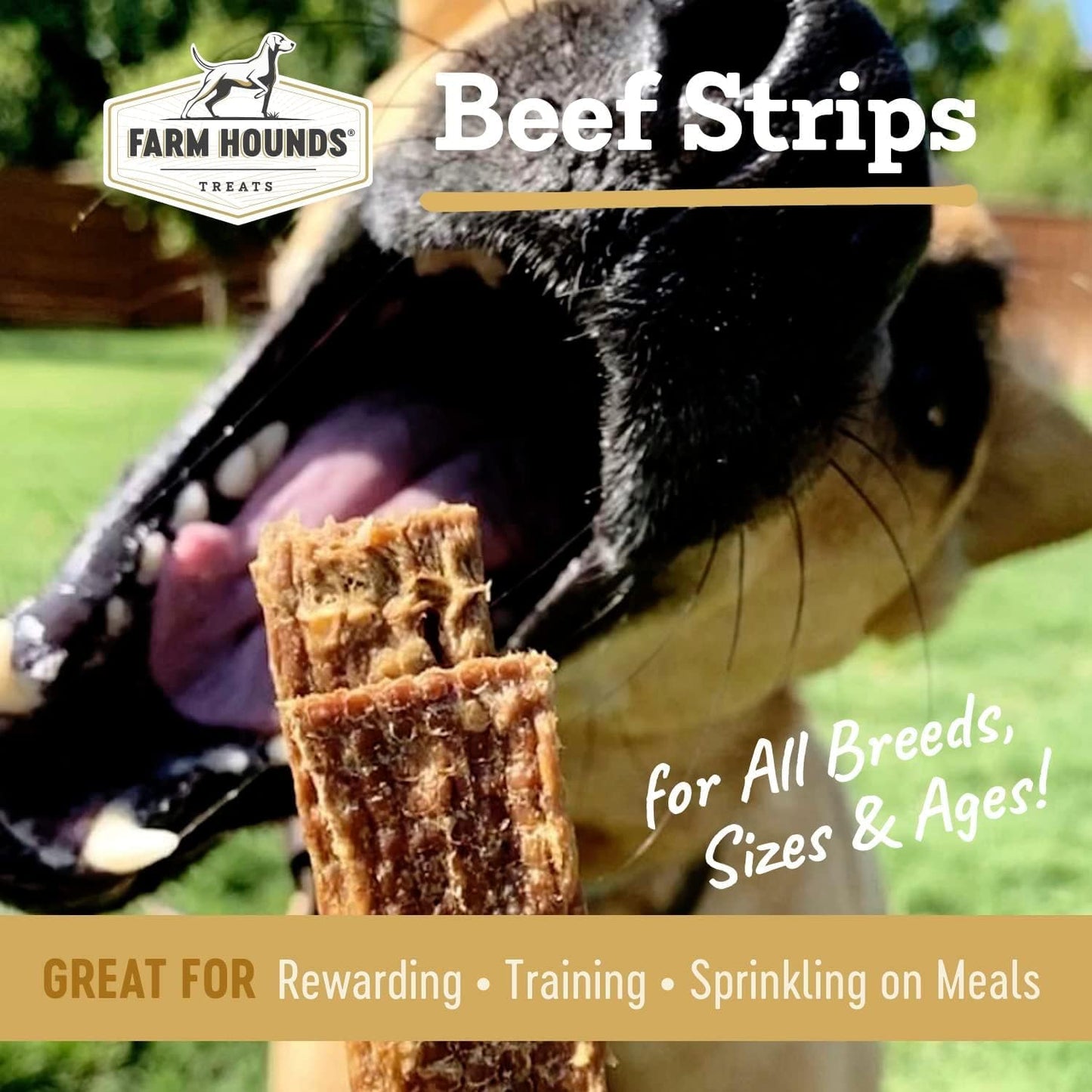 Farm Hounds - Beef Strips - Premium Natural Beef Jerky for Dogs - 100% Humanely Raised Cattle - Break-to-Size - Great for Training & Treats - No Added Fillers - Made in USA - 2 Pack