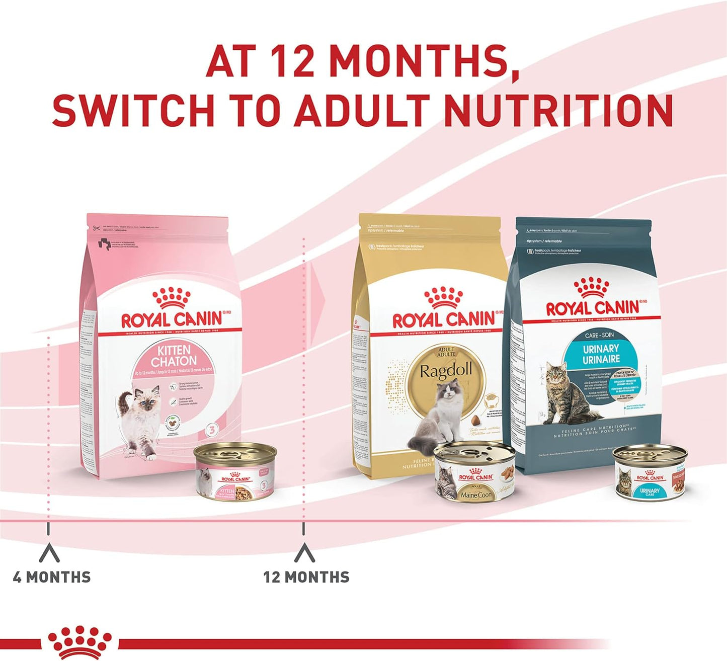 Royal Canin Feline Health Nutrition Kitten Thin Slices in Gravy Canned Cat Food, 3 oz., Count of 24