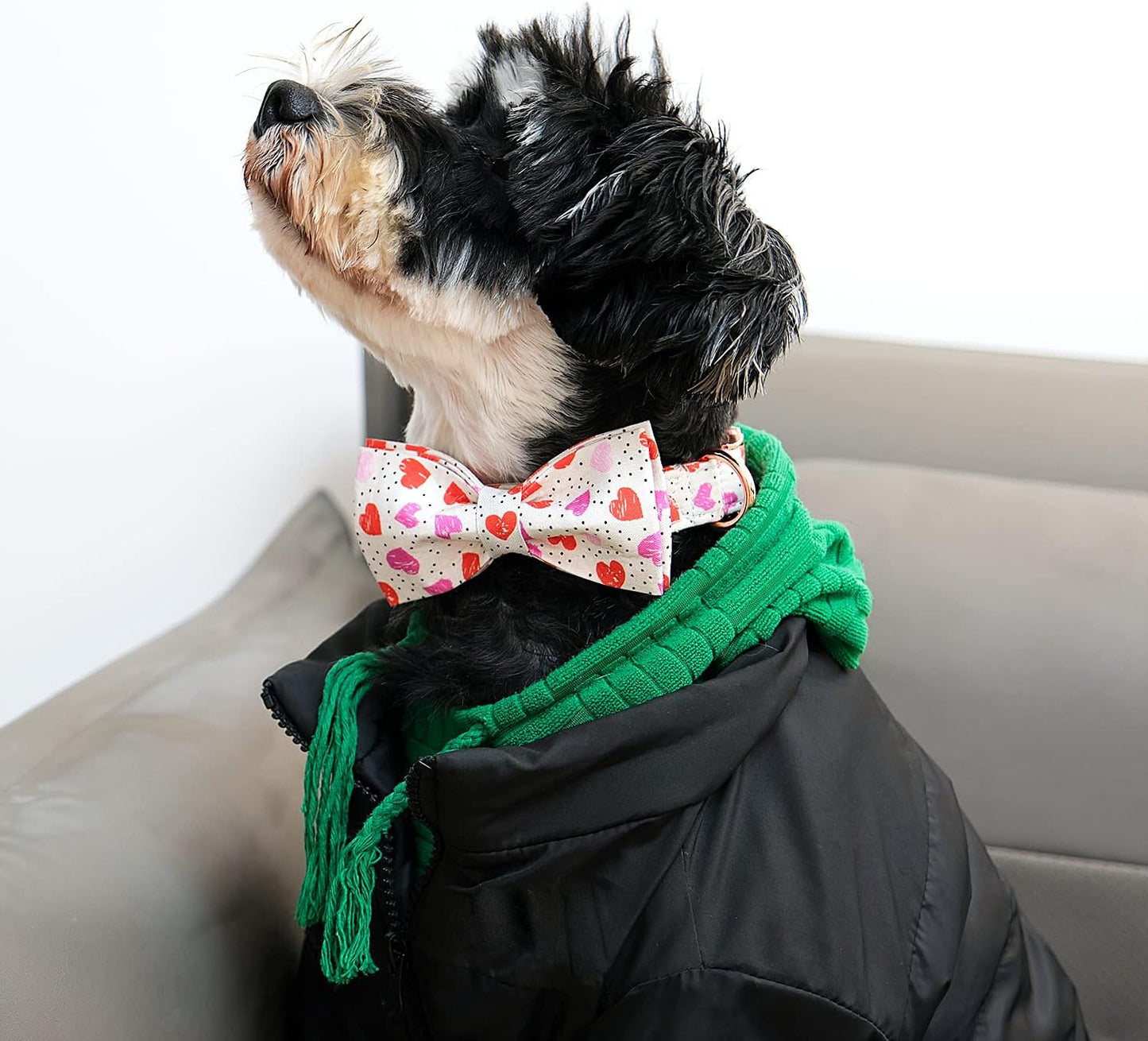 Lionet Paws Valentines Day Dog Collar with Bowtie, Dog Bowtie Collar with Metal Buckle for Dogs and Cats, Adjustable Comfortable Dog Collar Girl Boy Gift，XXS, Neck 7-11 in