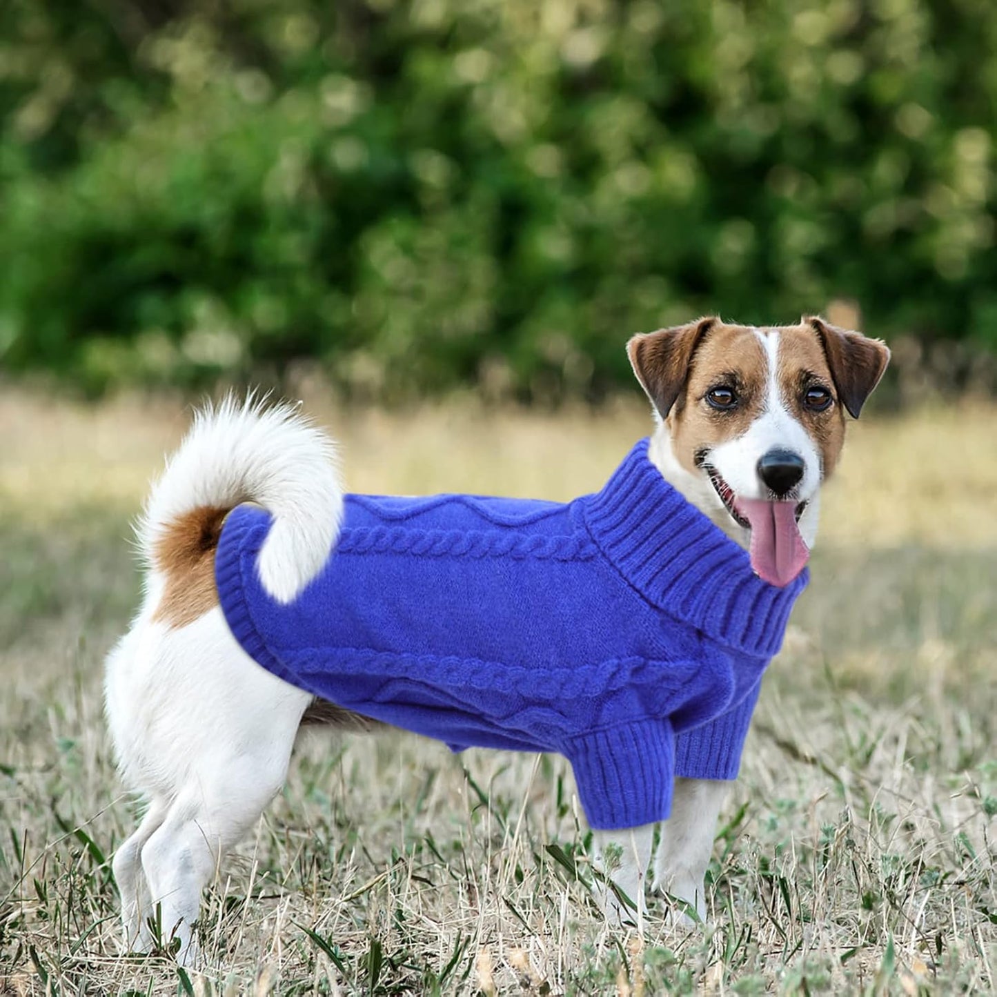 Queenmore Small Dog Pullover Sweater, Cold Weather Cable Knitwear, Classic Turtleneck Thick Warm Clothes for Chihuahua, Bulldog, Dachshund, Pug (Royal Blue, X-Small