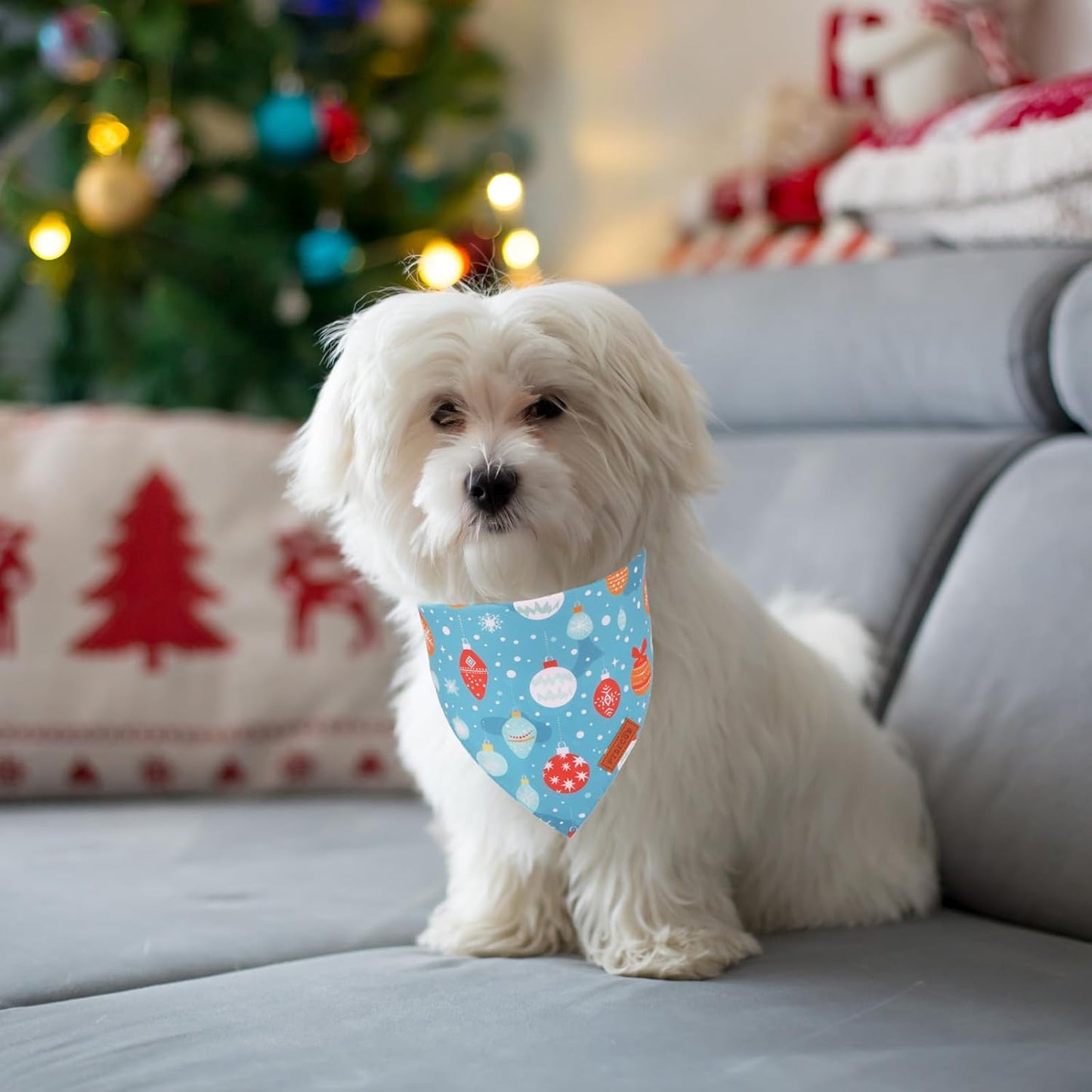 PTDECOR Christmas Dog Bandana, Xmas Light Bulb Santa Reversible Holiday Dog Scarf, Triangle Christmas Bandanas for Small Dogs Pets (Small)