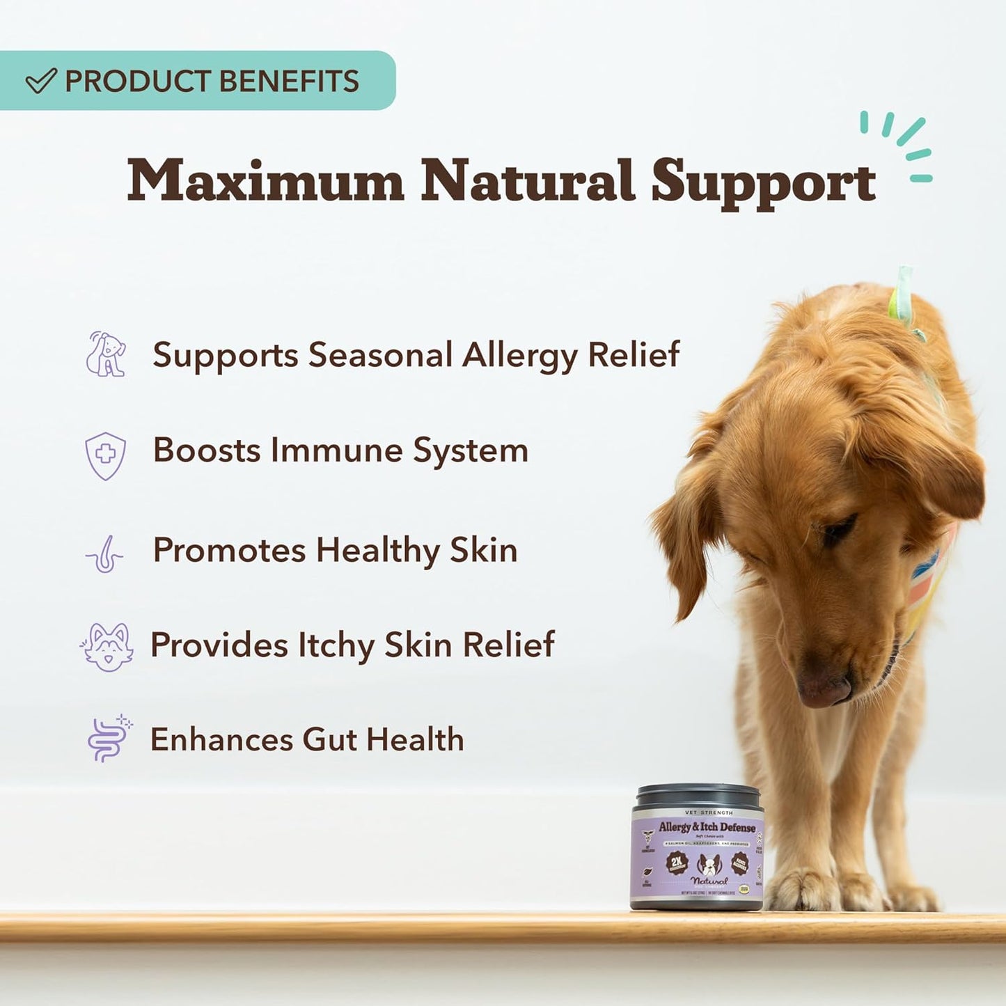 Natural Dog Company Aller Immune Chews 90 ct, Vet Strength High-Concentration Senior Dog Allergy Relief with 2.4X Colostrum, 2X Salmon Oil & 1.5X Probiotics, Supports Immune, Skin, Coat & Gut Health
