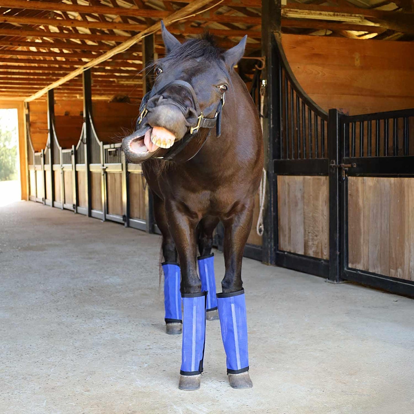 Jeffers Romper Stomper Fly Boots for Horses - Grey, Large – Breathable Mesh Leg Wraps for Insect Protection, Stable Accessories for Summer Turnout, Ride Gear, Horse Hoof & Leg Care - 4 Pack