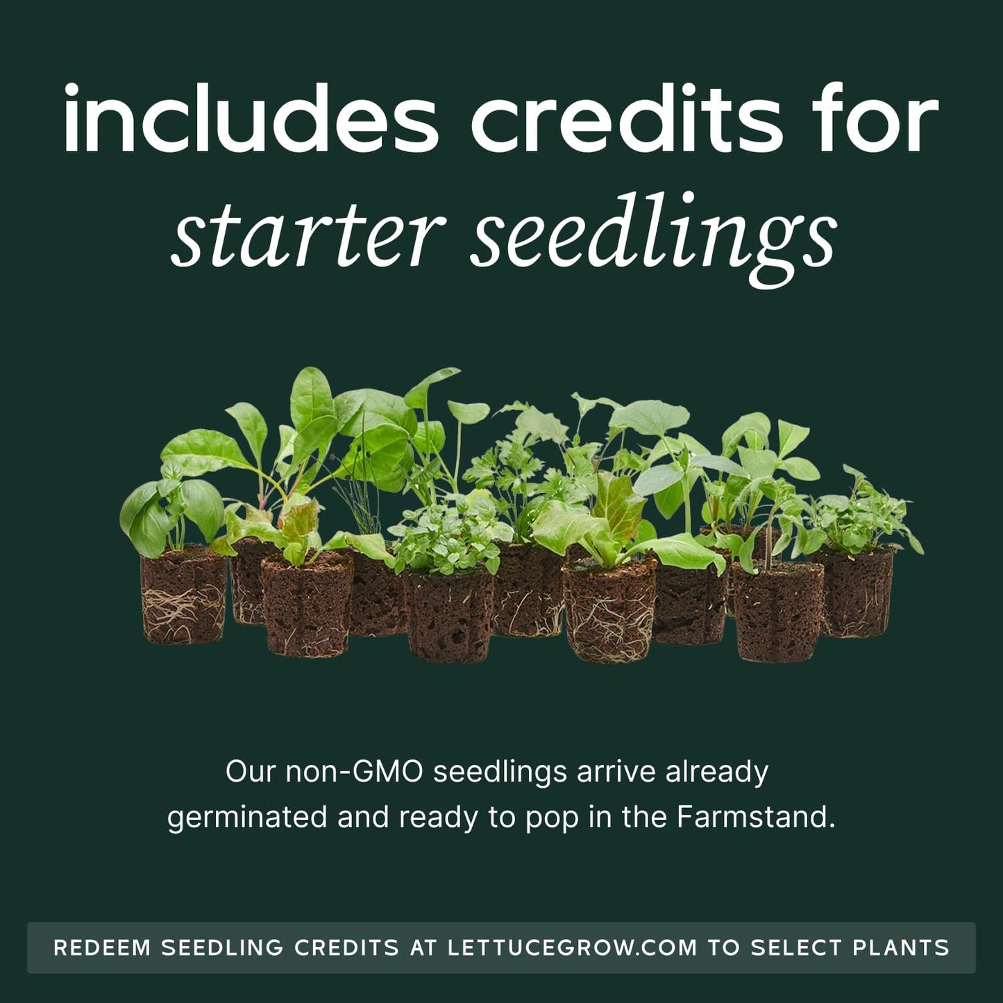 Farmstand Starter Kit with Glow Rings and 30 Seedling Credits | Family Hydroponic Growing System Kit | Vertical Garden Planter Tower | 5ft 5in Tall