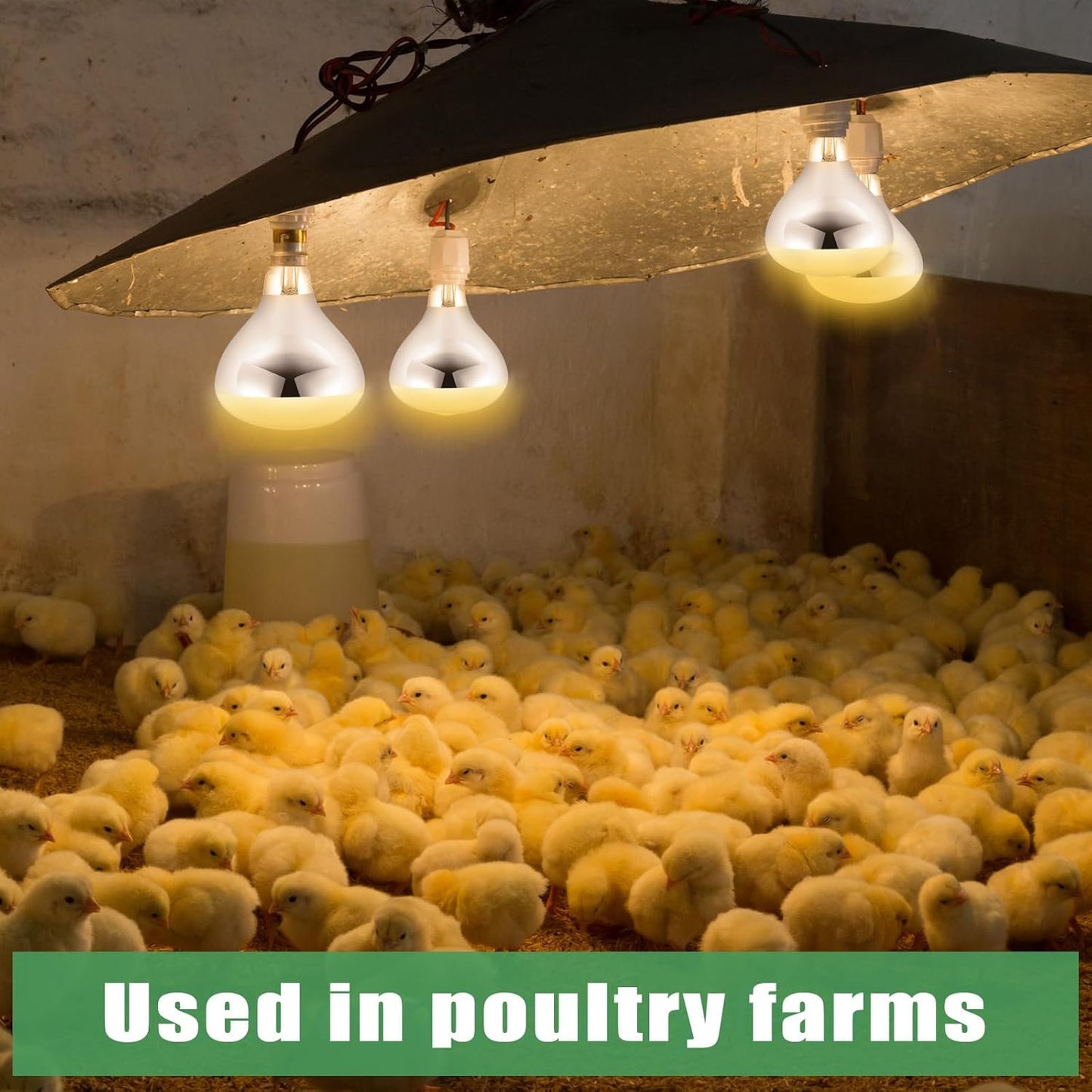 VIHOSE 24 Pack 250 Watt Heat Lamp 120v R40 Heat Lamp Bulbs Glass Incandescent Light Bulbs Incandescent Heating Lightbulbs for Reptiles Chicks Food Puppies Bathroom, Use E26 Base (Silver)